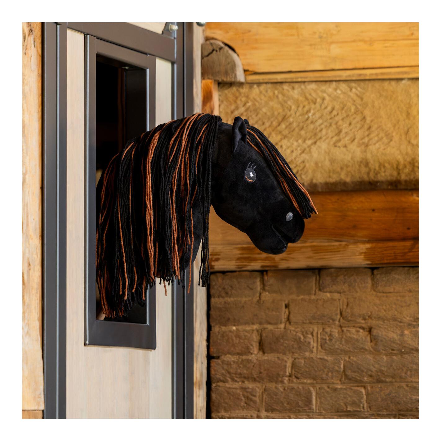 QHP Nalanta Hobby horse Macho
