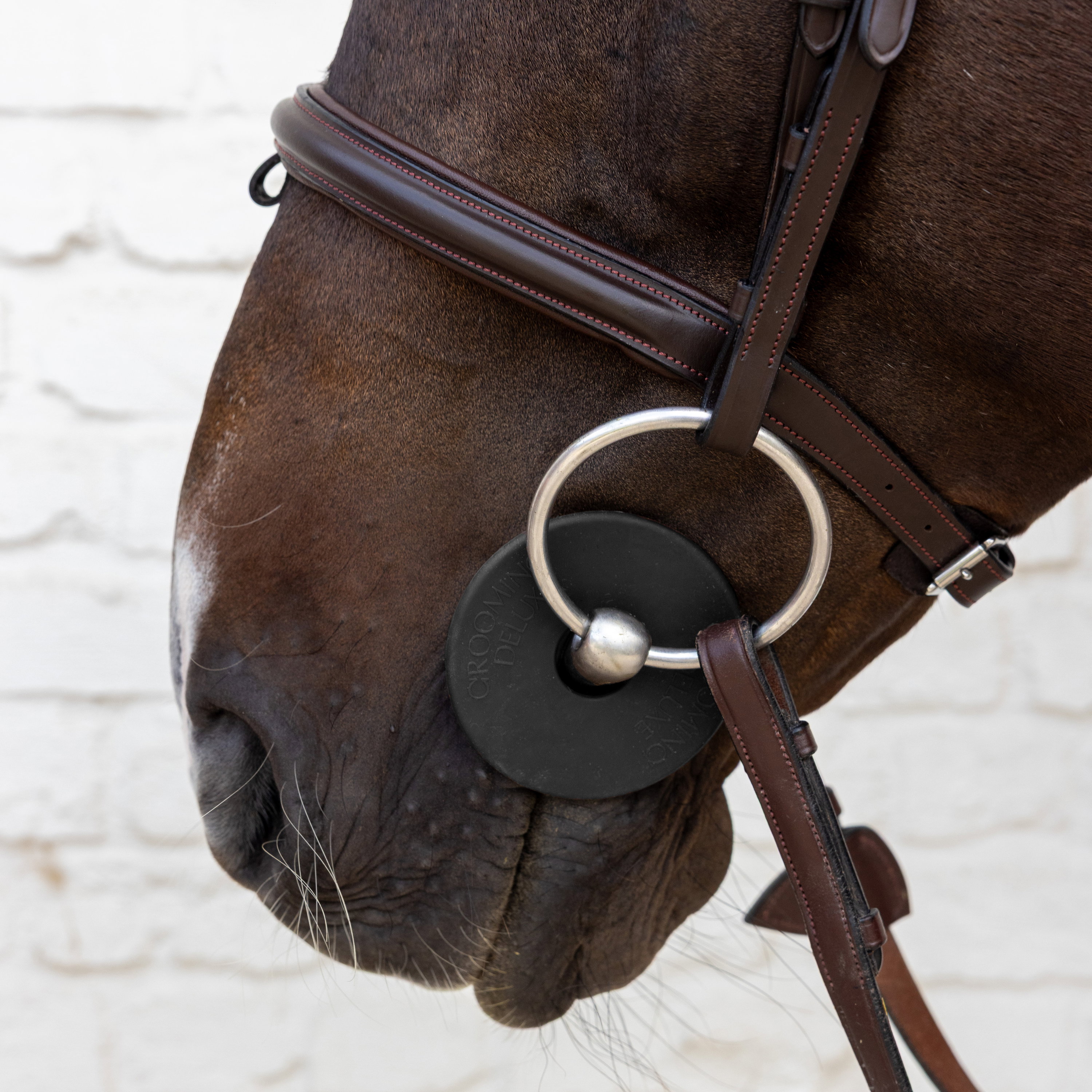 Grooming Deluxe Rondelles de mors en silicone