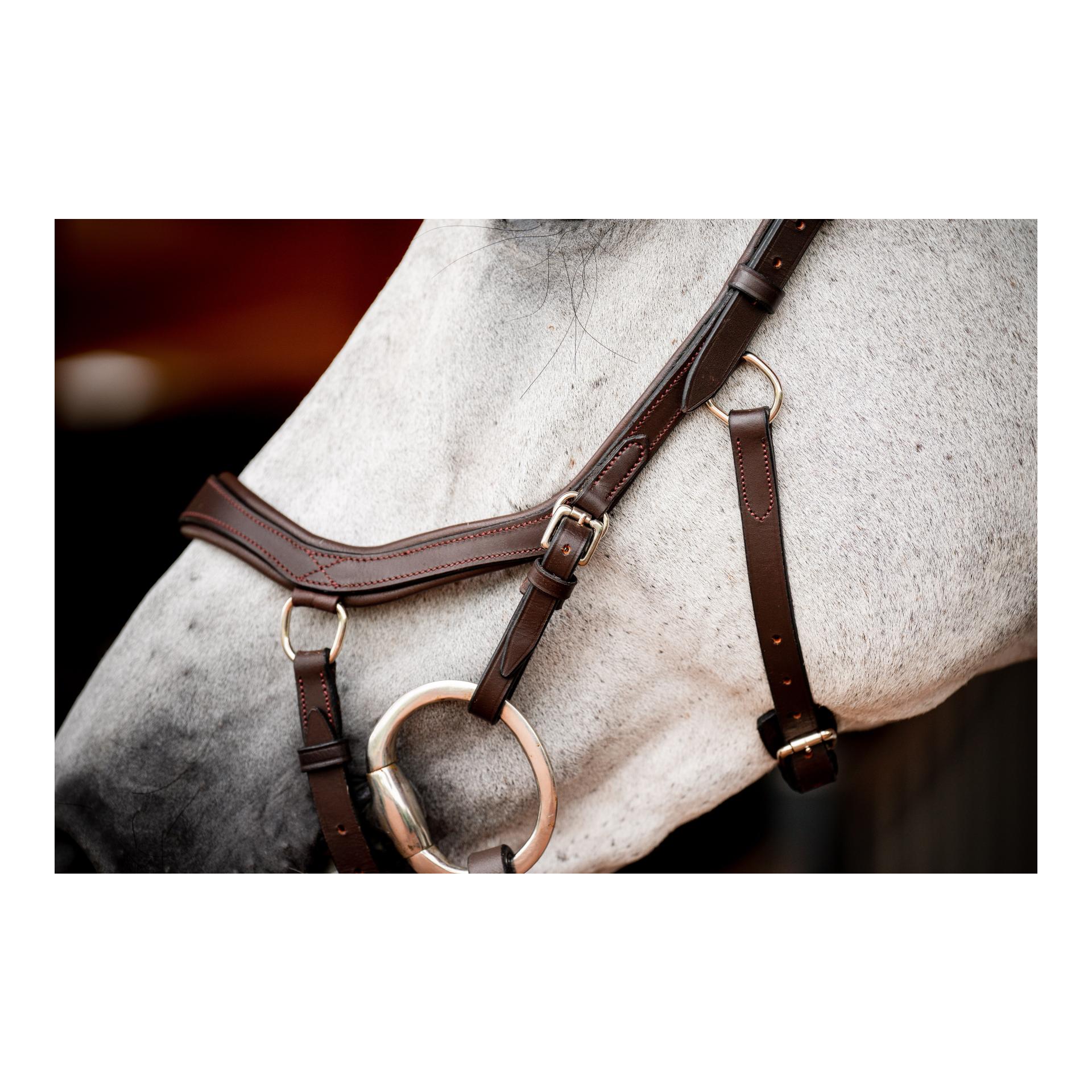 Horseware Bridon Micklem3 Compétition sans rênes