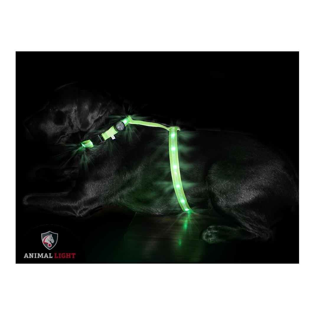 Animal Light Harnais lumineux pour chien "Ninja" - vert
