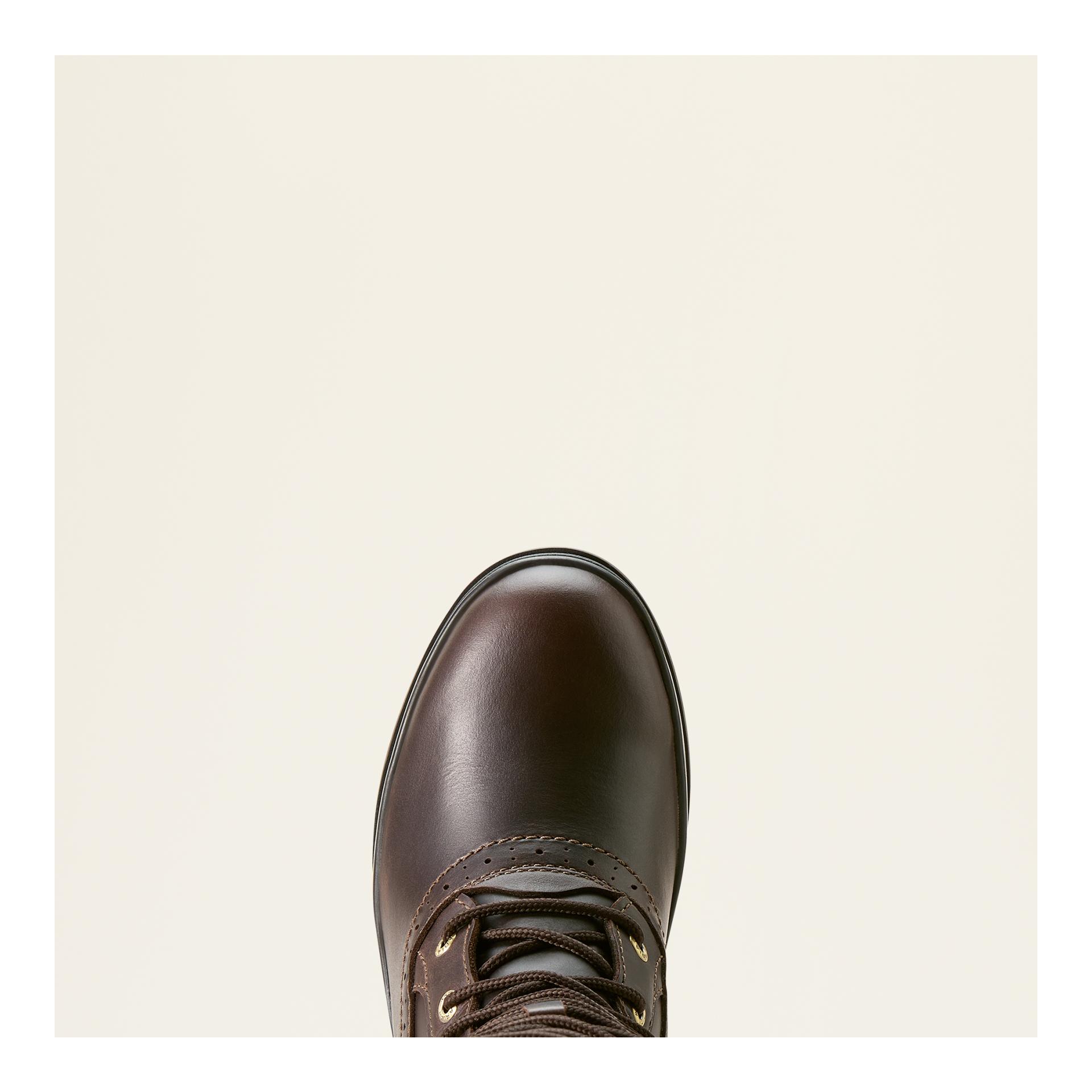Ariat Bottes d'hiver Wythburn II Sherpa H2O Femmes