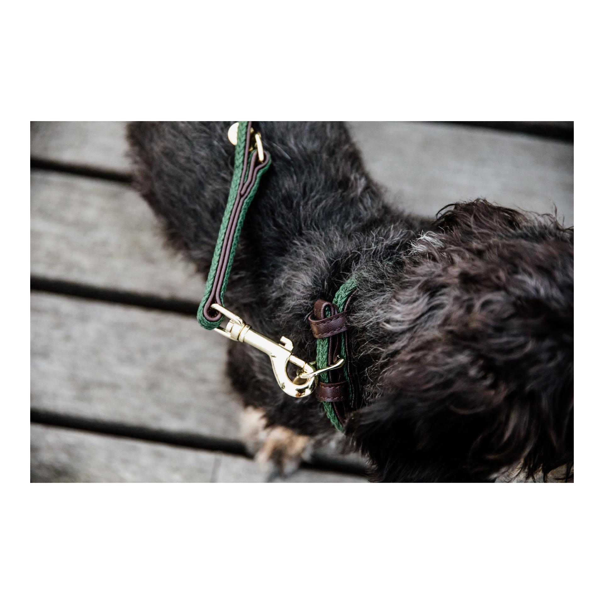 Kentucky Dogwear Hundehalsband Nylon geflochten - olive green