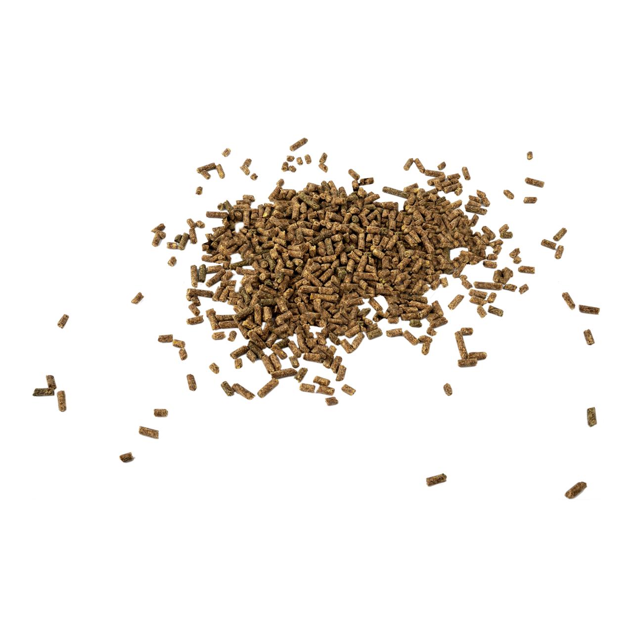 Waldhausen Magnesium Forte – für starke Nerven