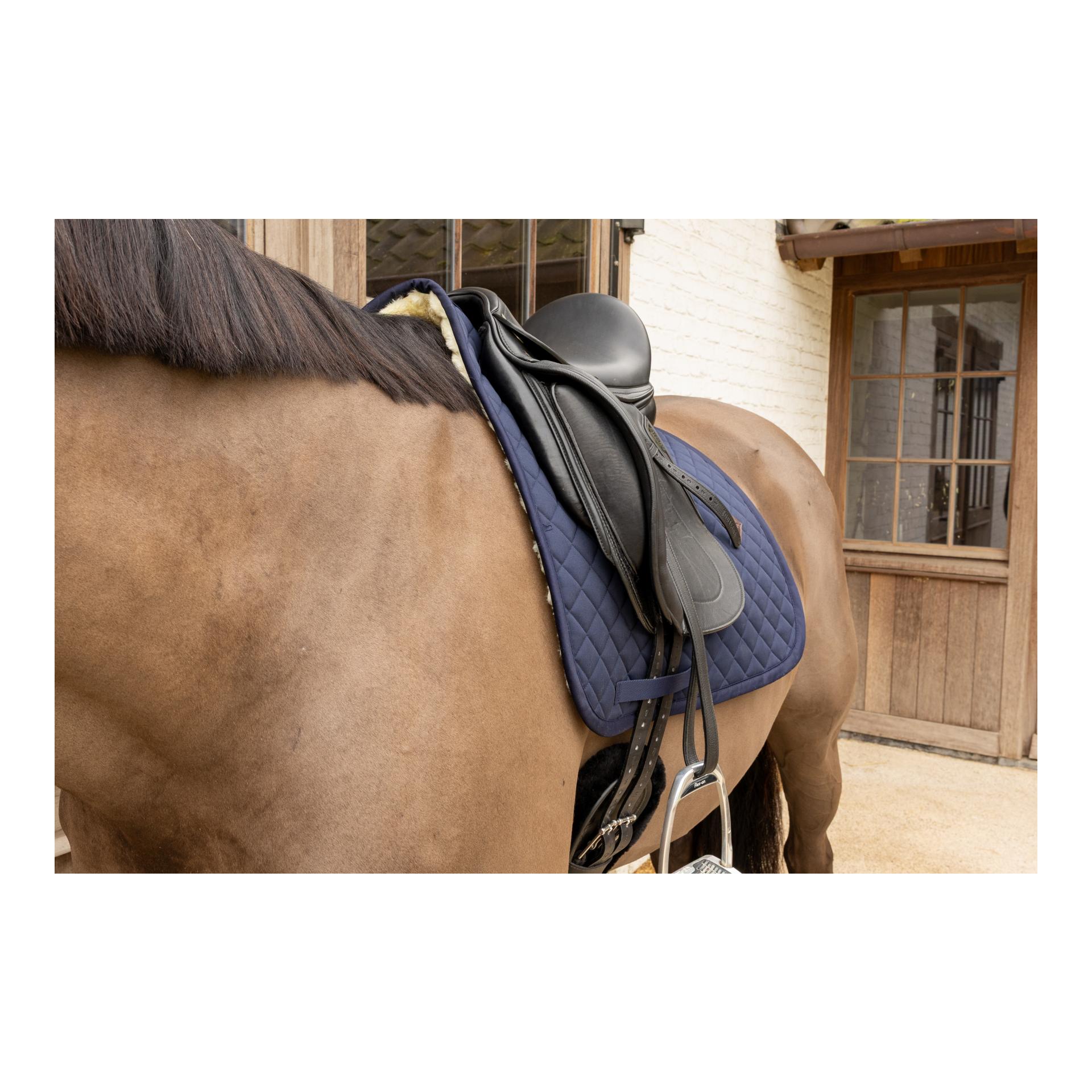 Kentucky Schabracke mit Lammfell Diamand Skin Friendly