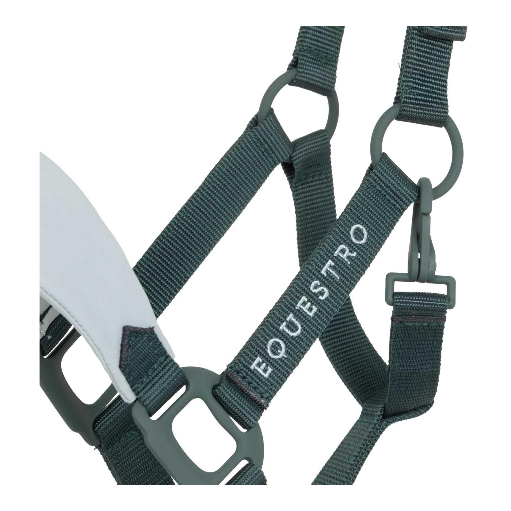 Equestro Licol avec boucles recouvertes de caoutchouc