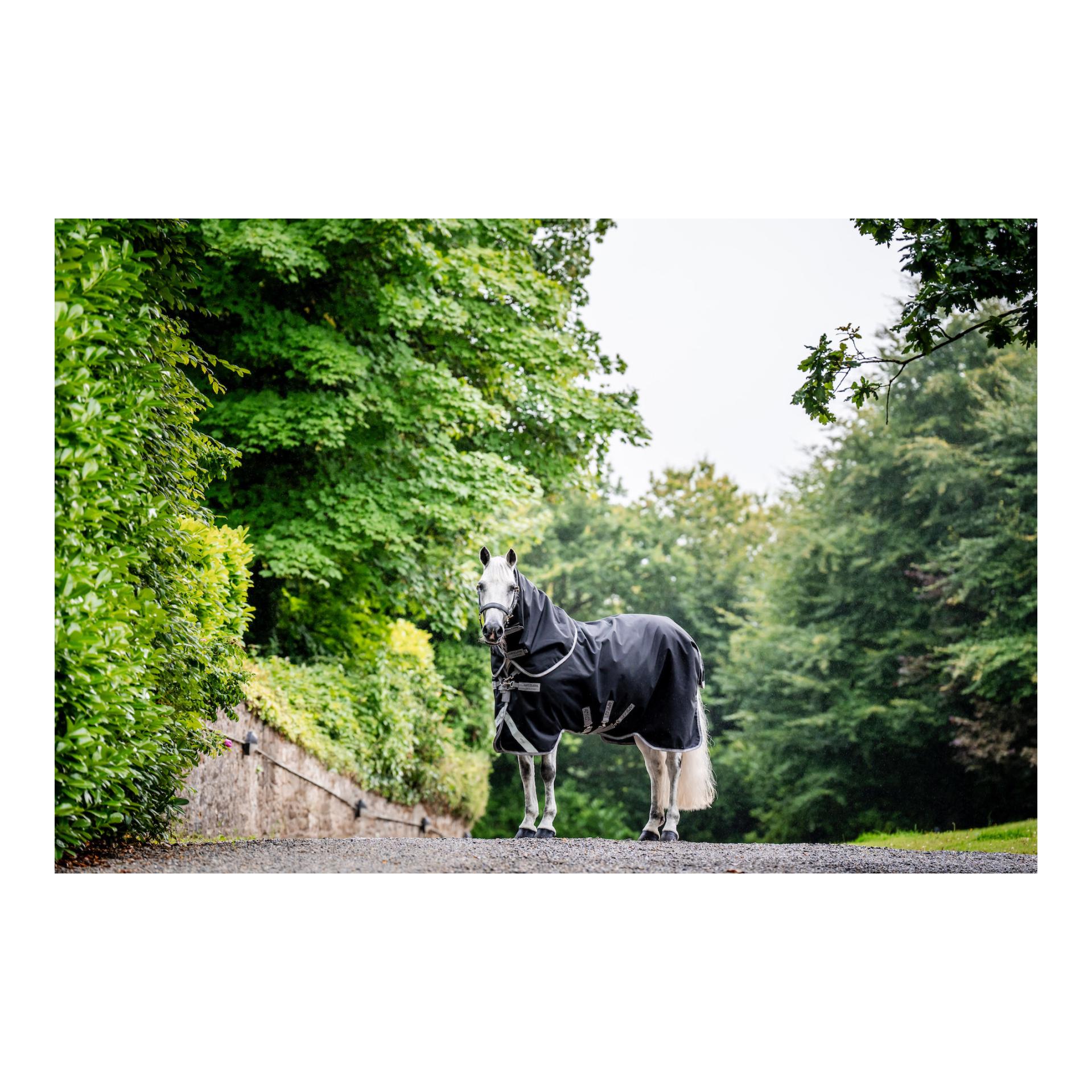 Horseware Weidedecke Amigo Bravo 12 Plus Bundle (50g Aussendecke mit 100g und 200g Liner)