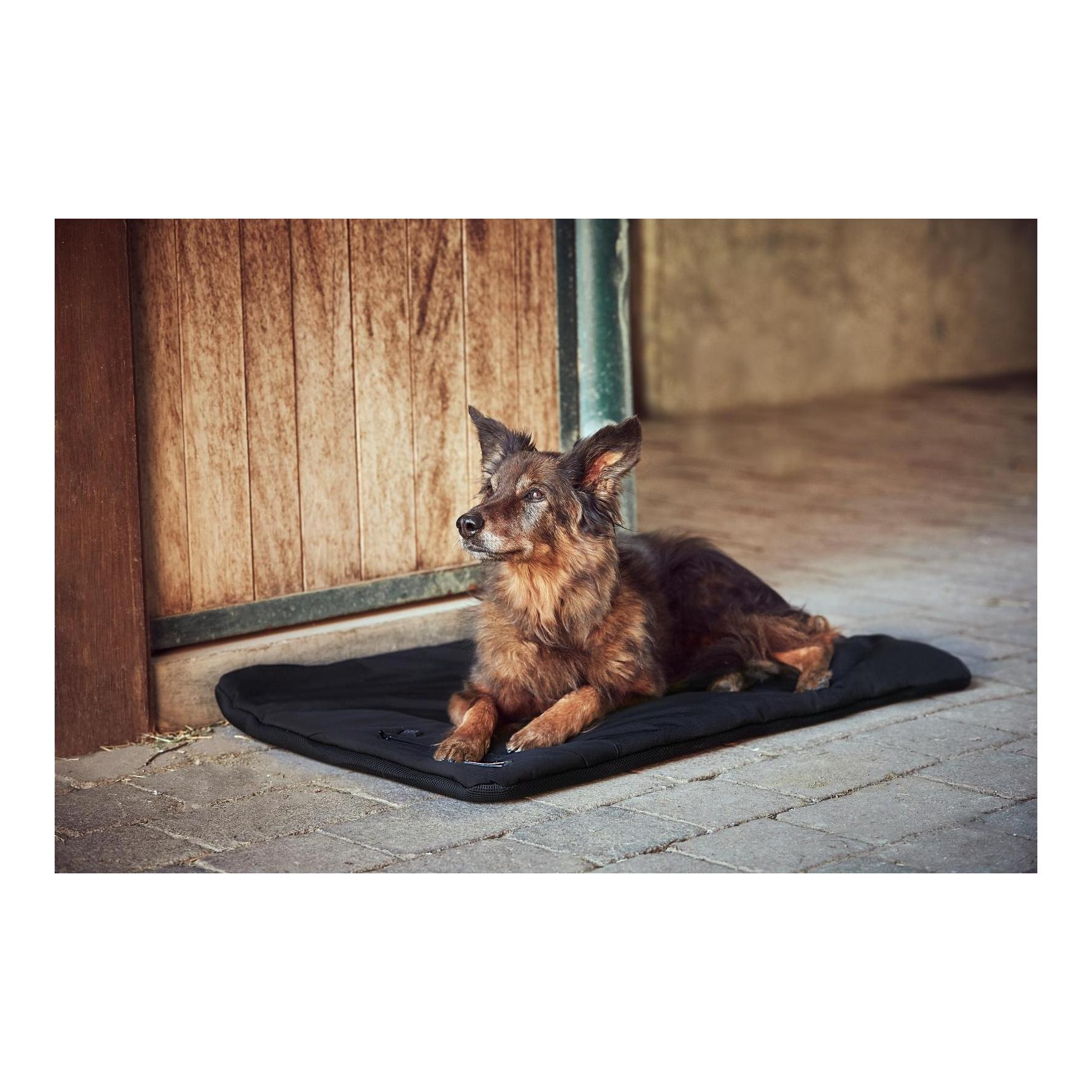 Catago Coussin pour chien chauffé FIR-Tech Pro