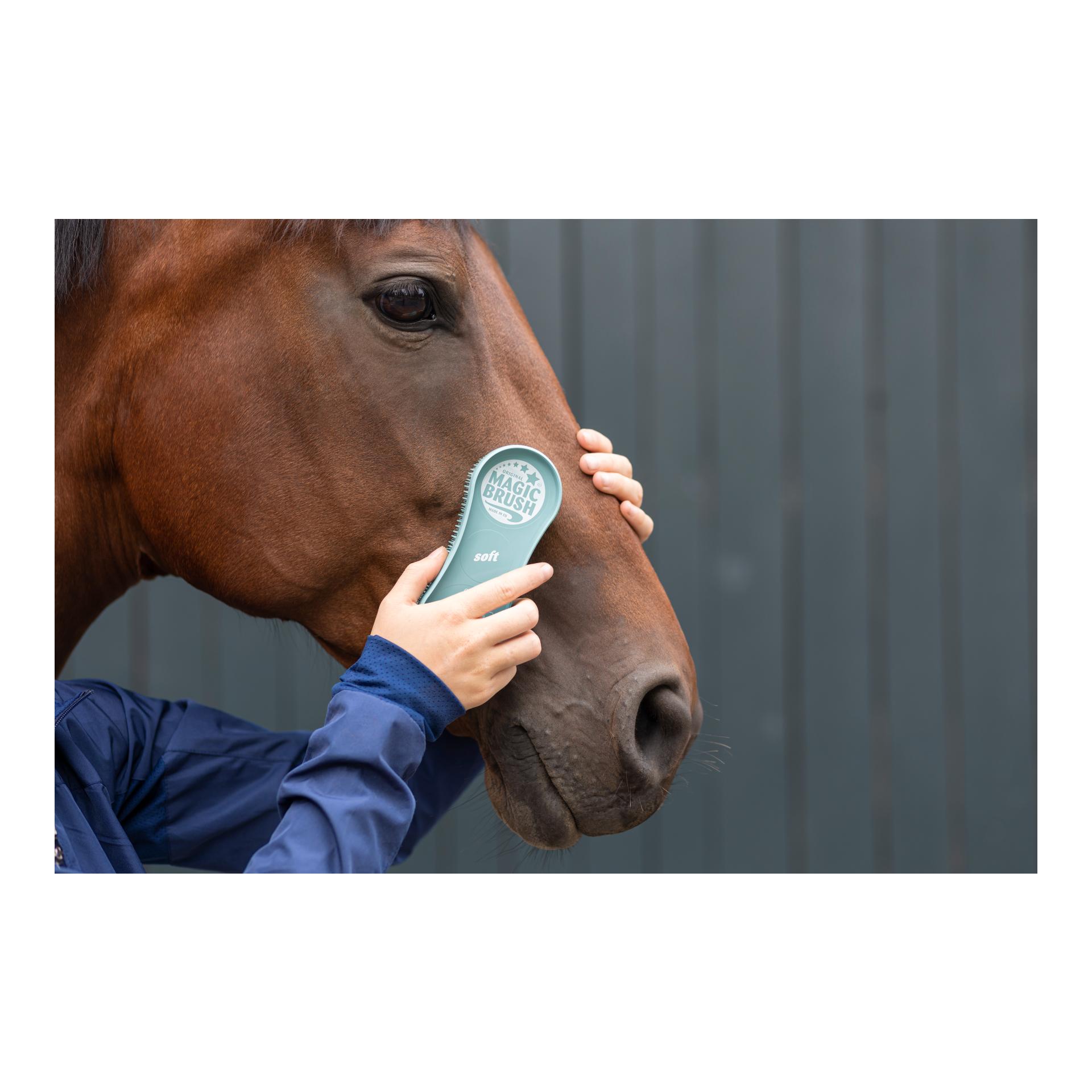 MagicBrush Zauberbürste Soft