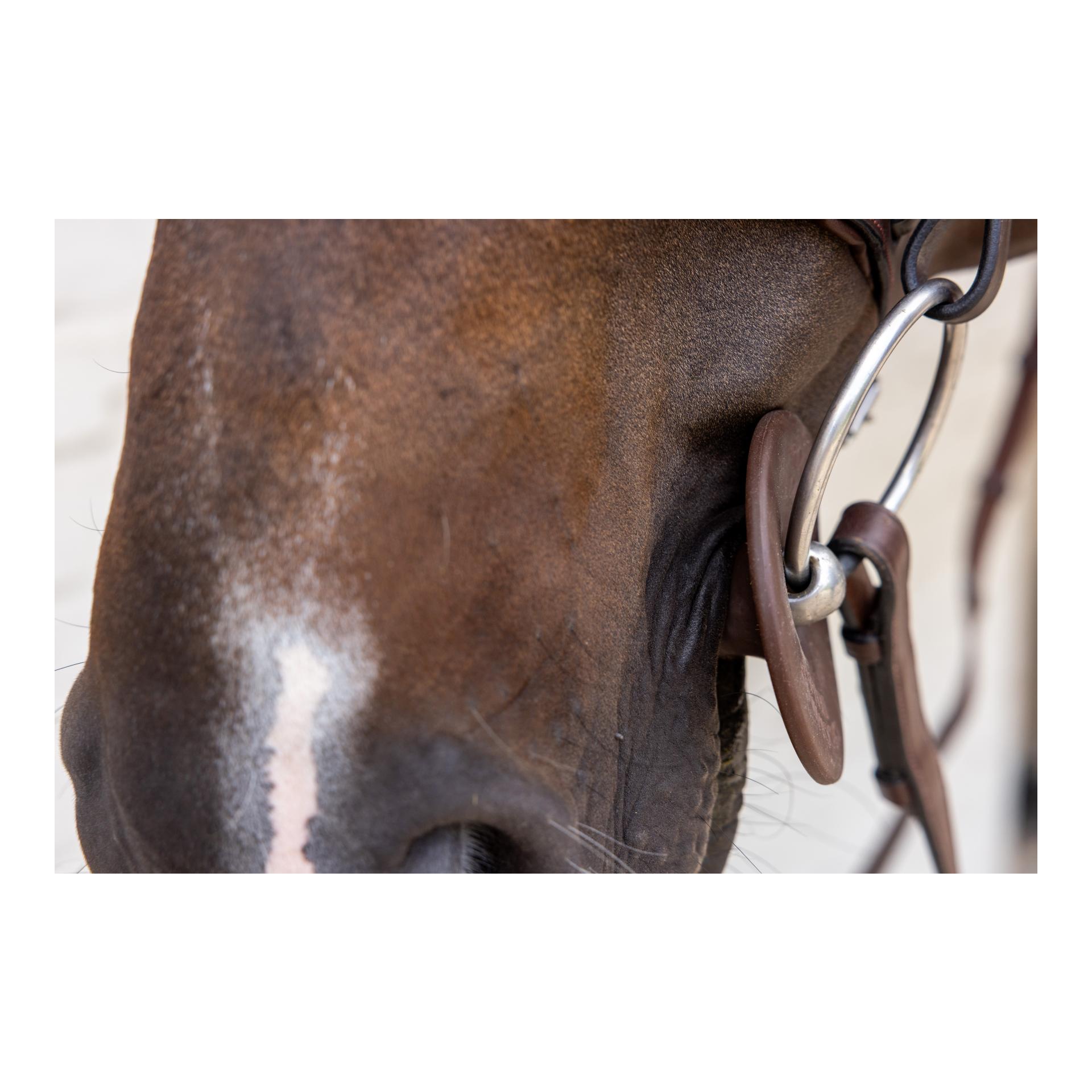 Grooming Deluxe Rondelles de mors en silicone