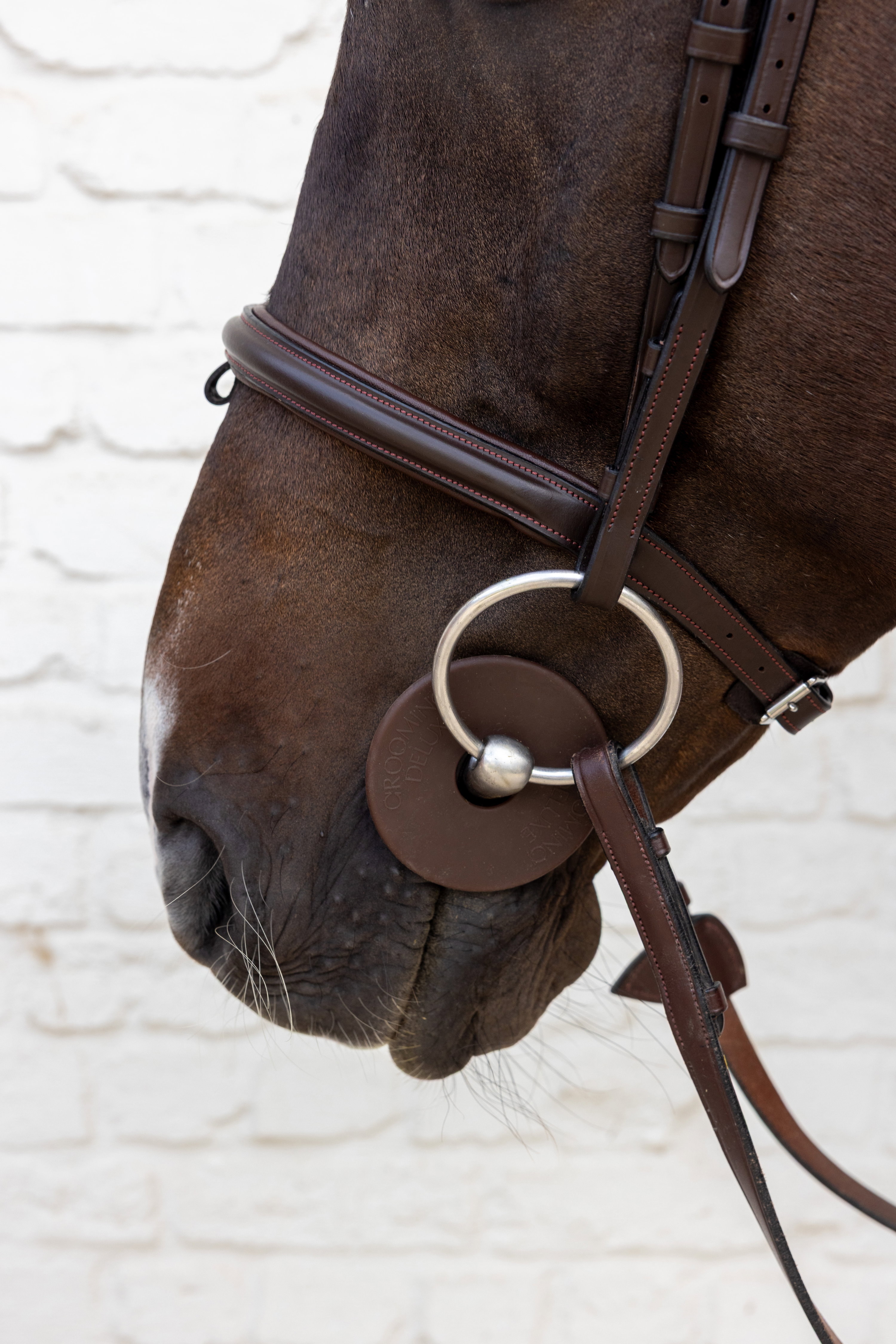 Grooming Deluxe Rondelles de mors en silicone