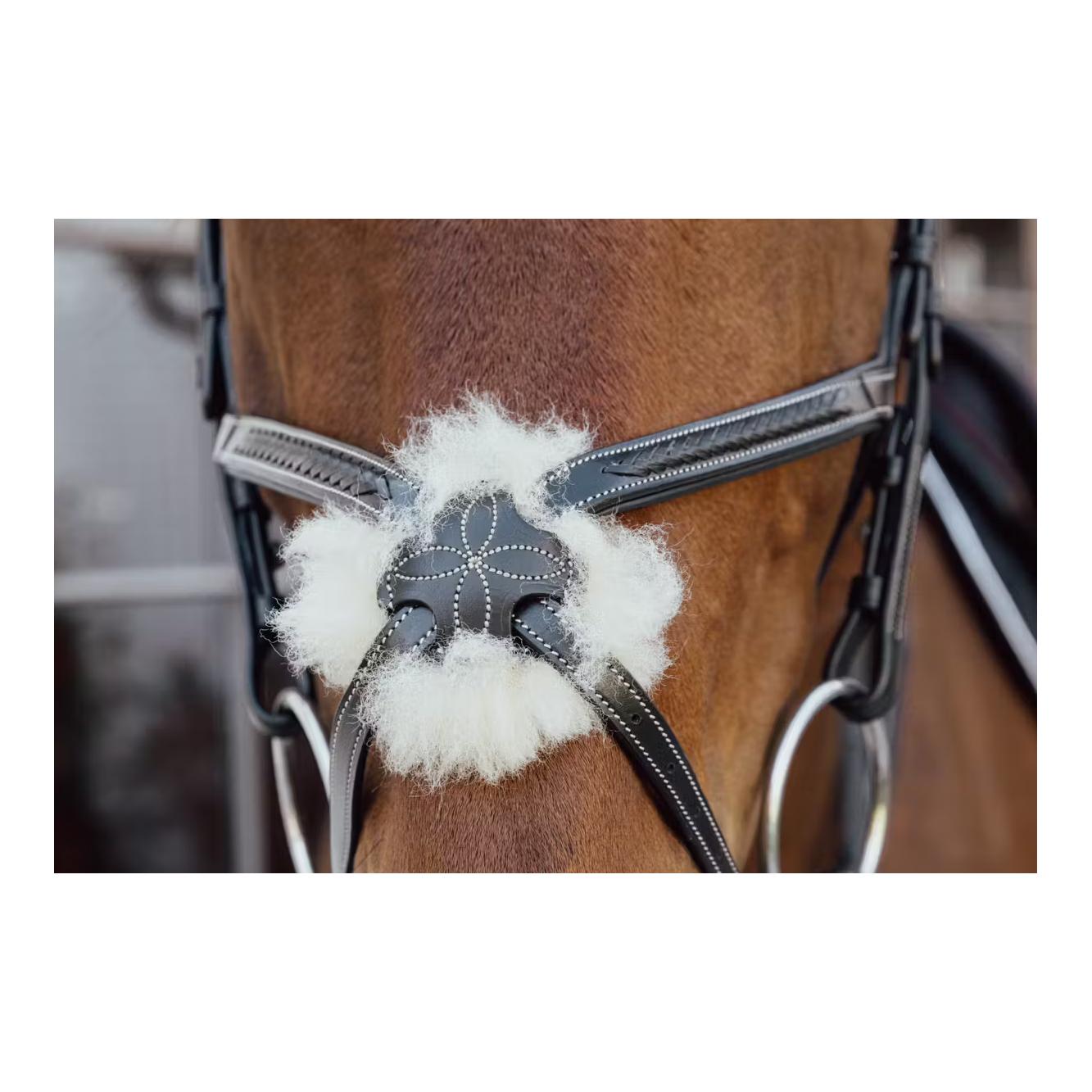 Dy'on Plaited Figure 8 Noseband D Collection