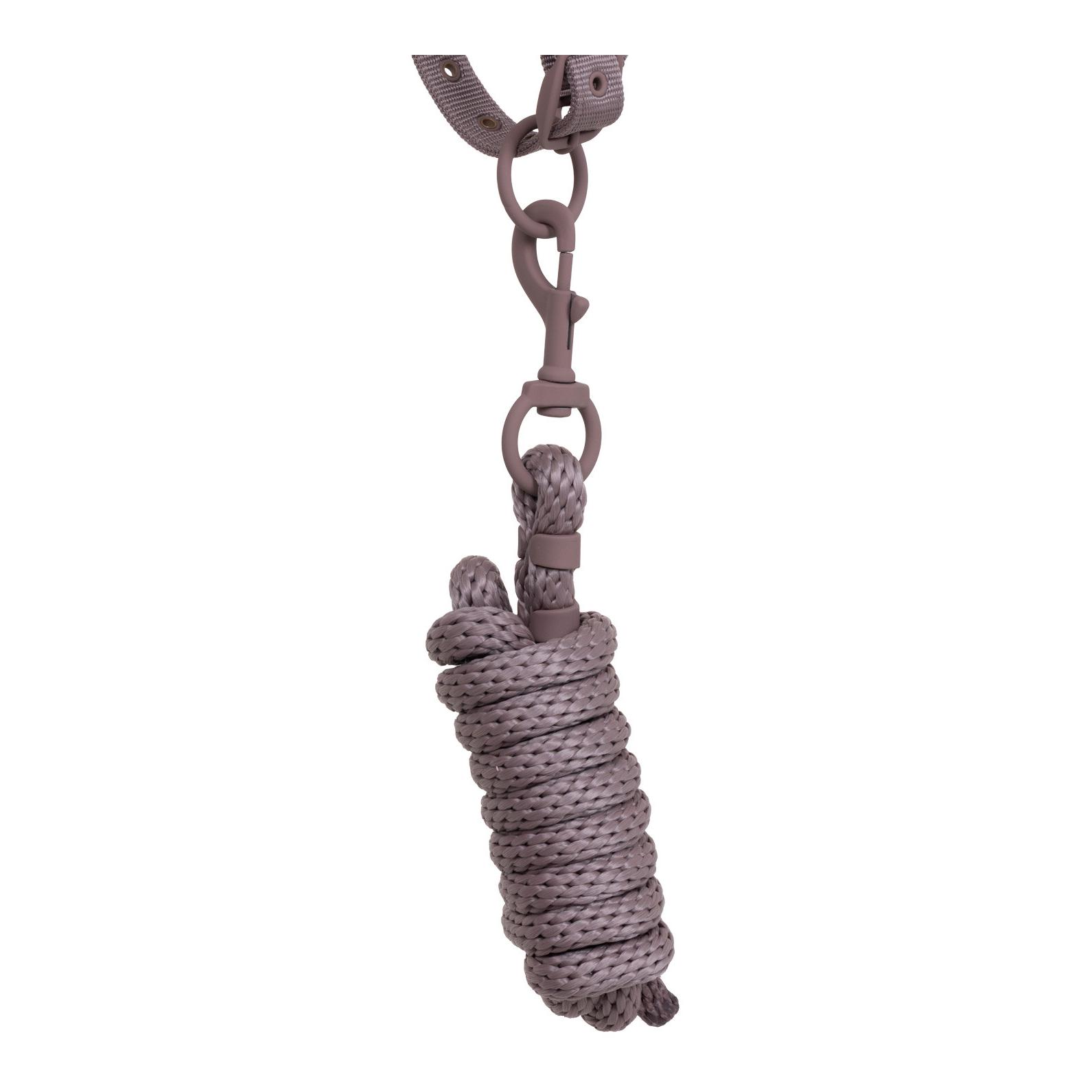 Equestro Licol avec boucles recouvertes de caoutchouc