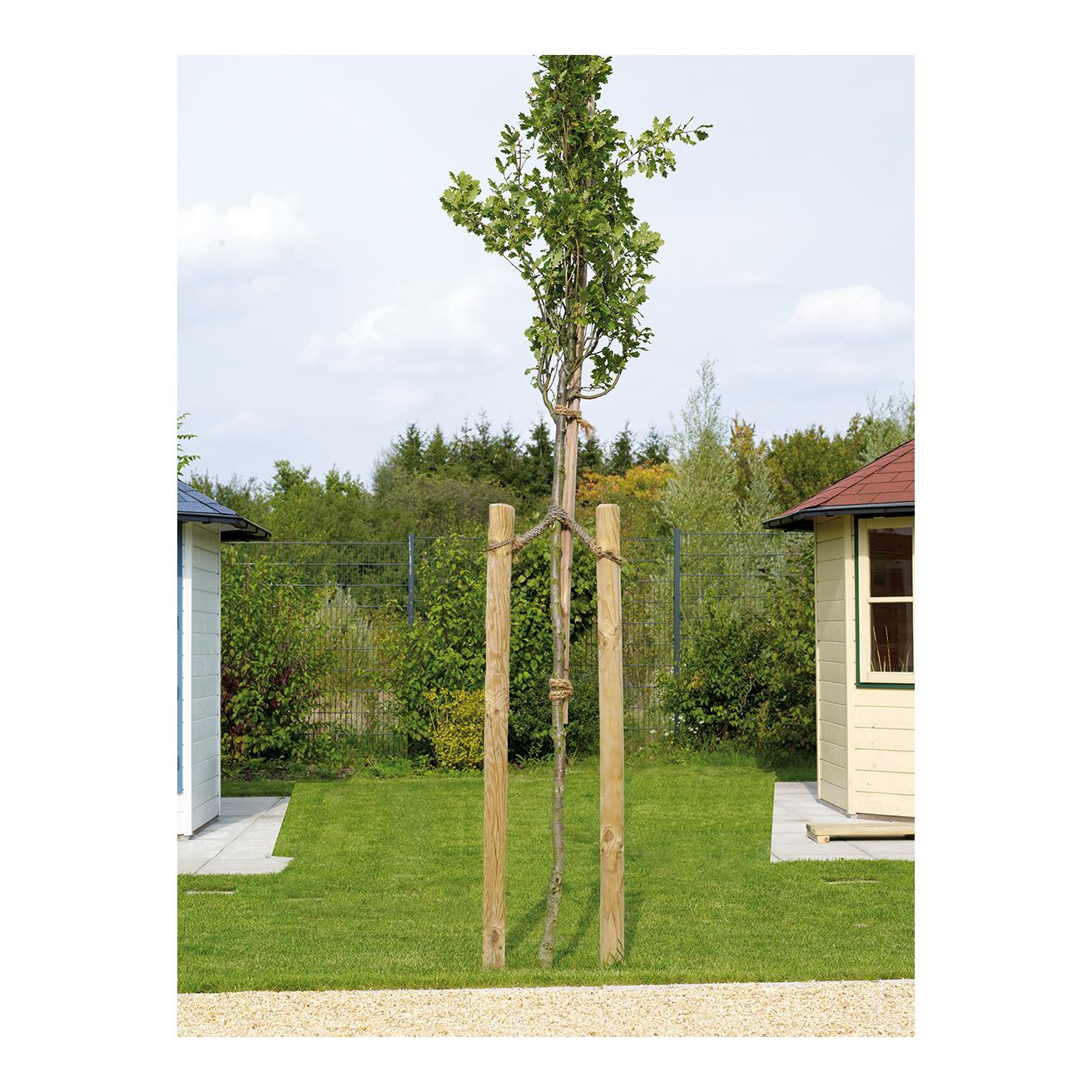 Hauptner Piquet en bois