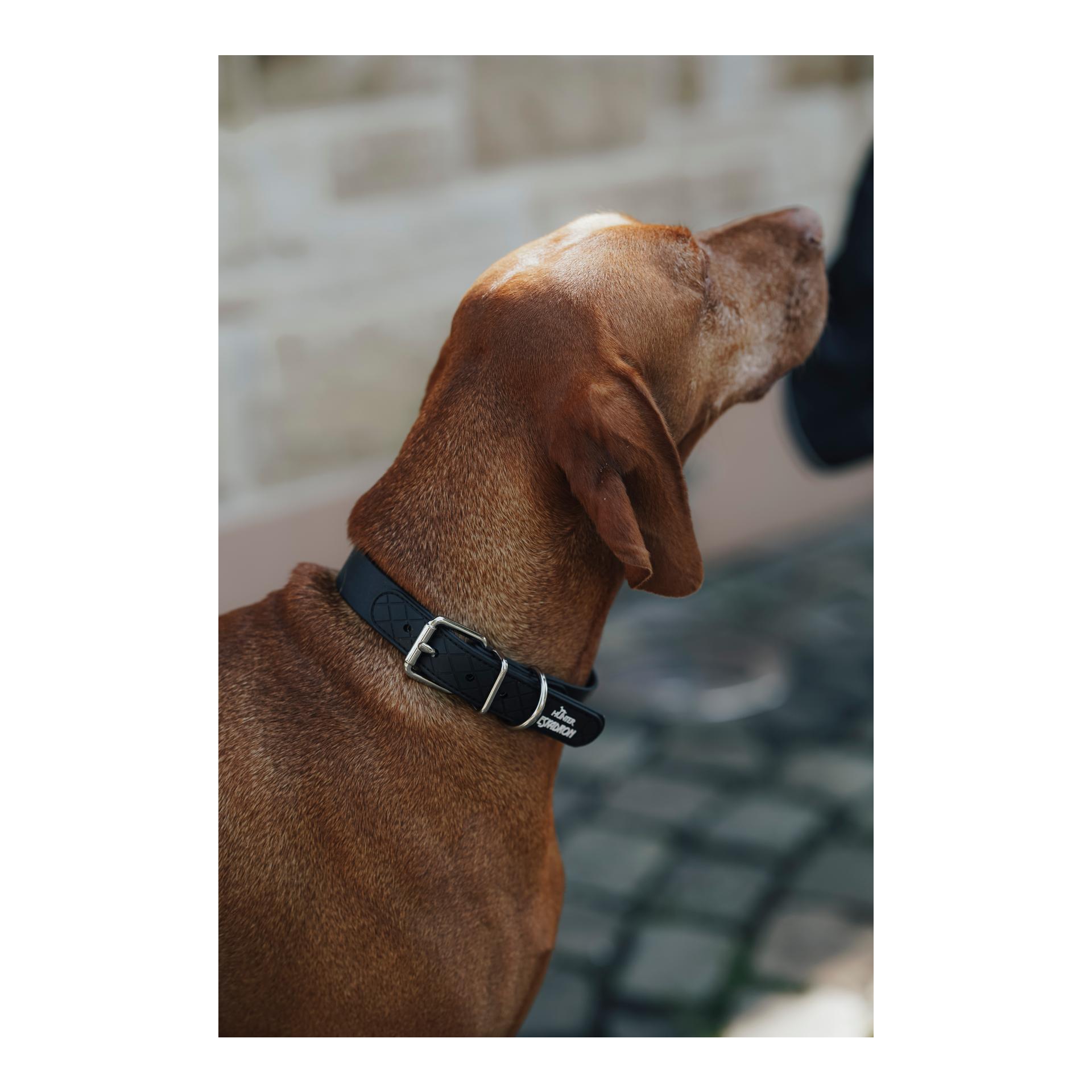 Eskadron Hundehalsband SPARK