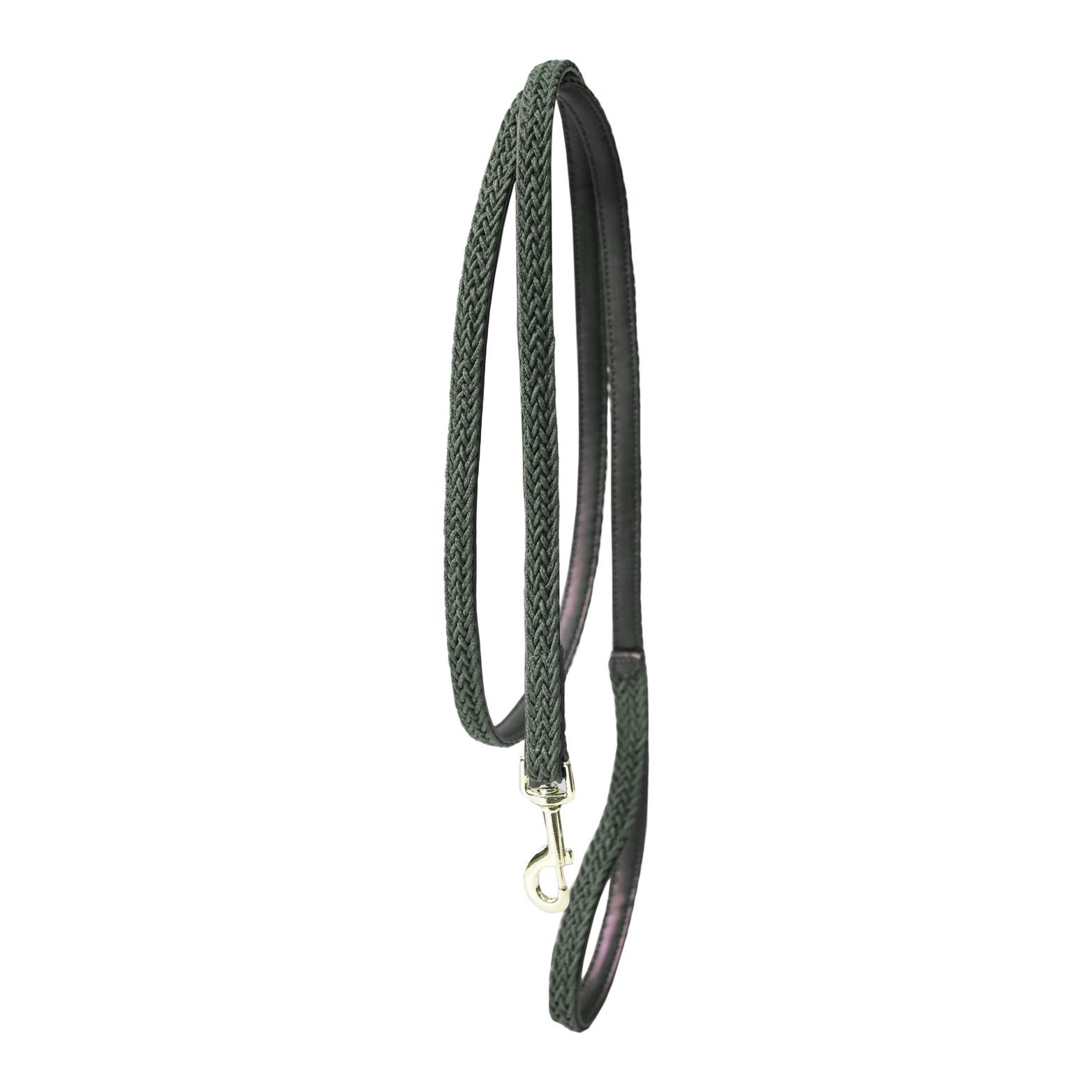 Kentucky Dogwear Laisse pour chien tressée en nylon - vert olive