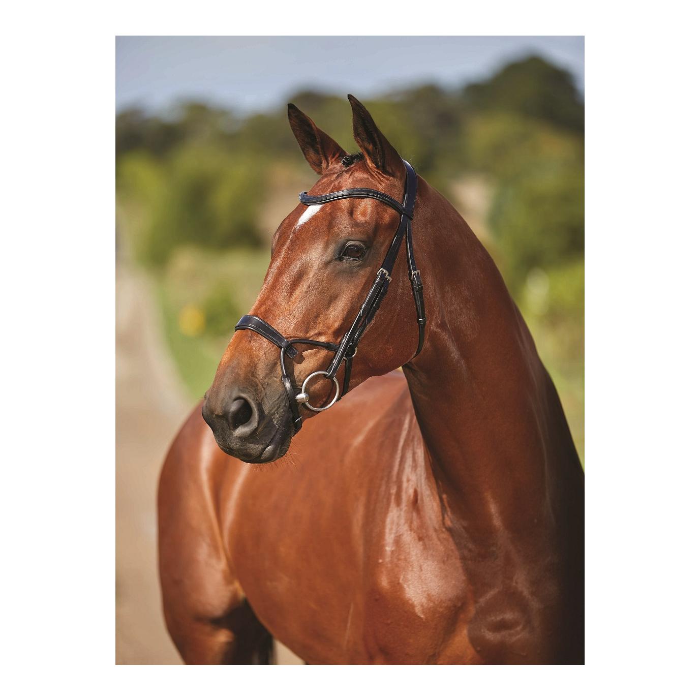 Bride Comfitec Training Bridle - noir