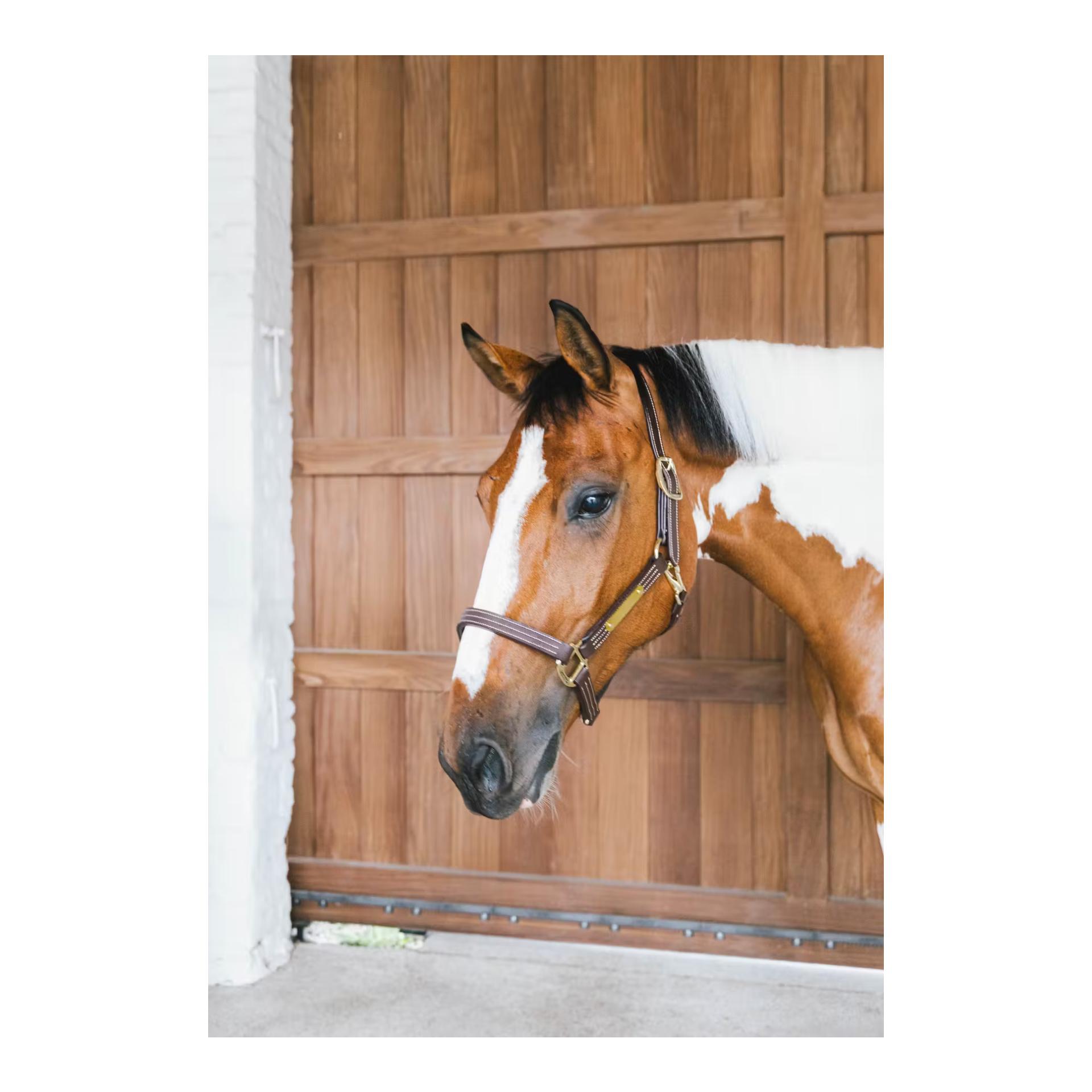 Kentucky Holster en cuir Wellington