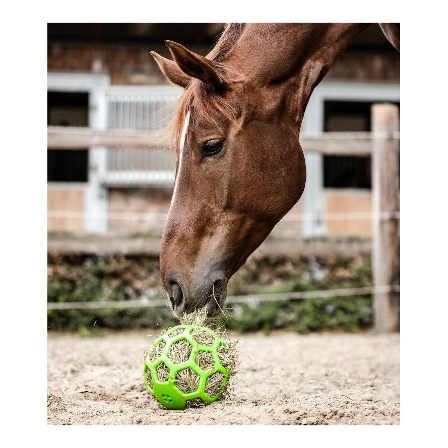 Waldhausen Heuball