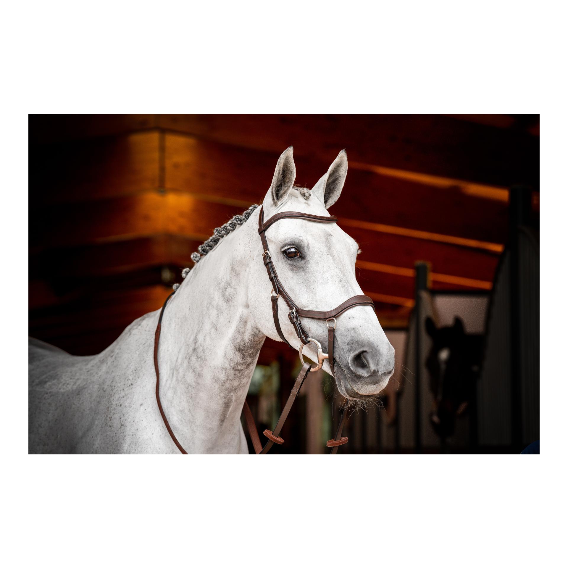Horseware Zaum Micklem3 Competiton ohne Zügel