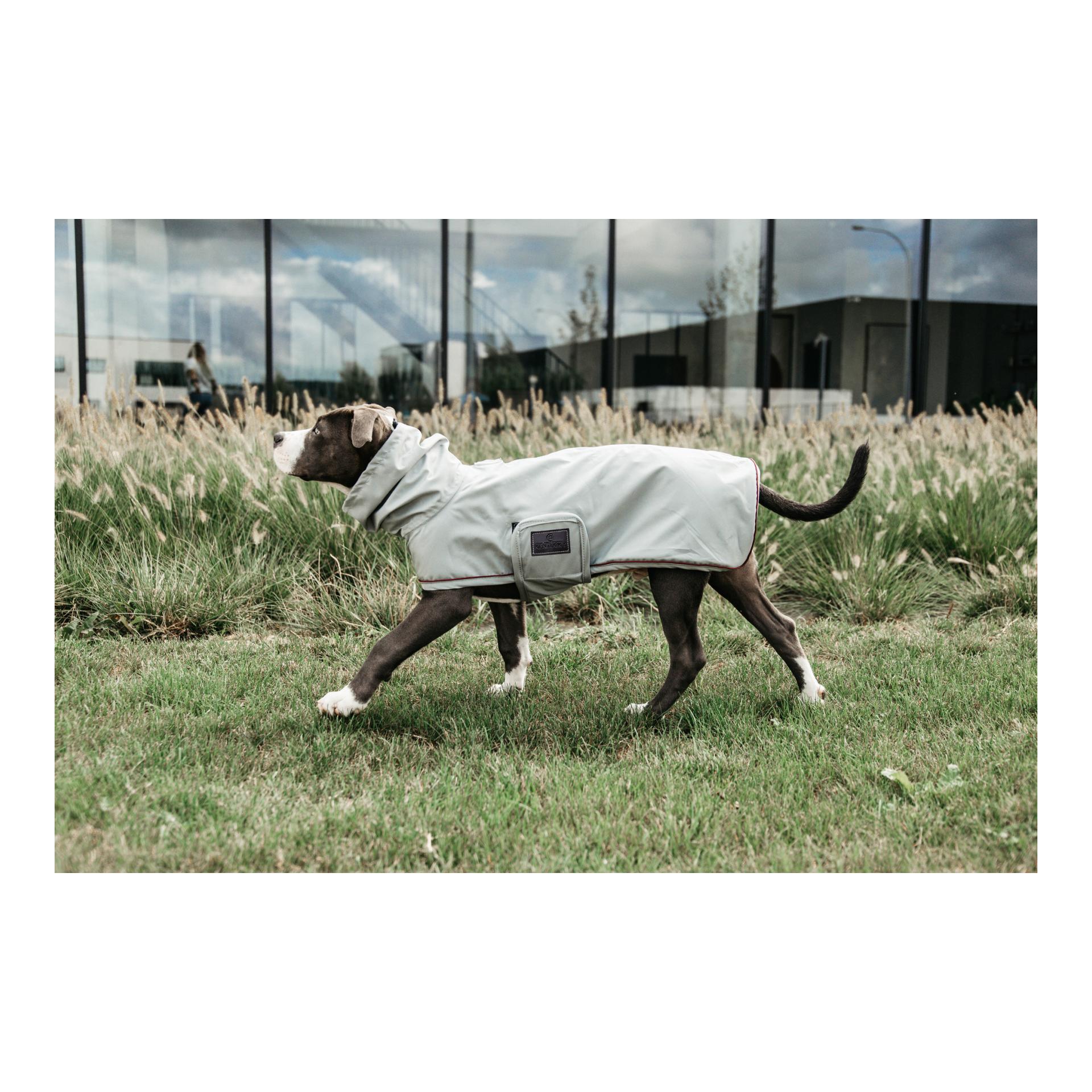 Kentucky Dogwear Veste imperméable pour chien