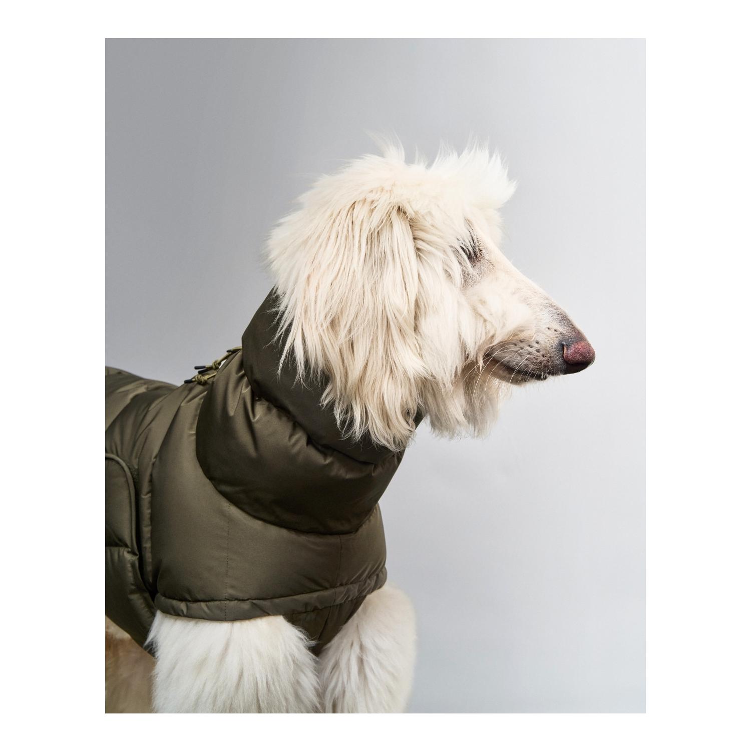 Cloud 7 Manteau d'hiver pour chien Alaska Regular