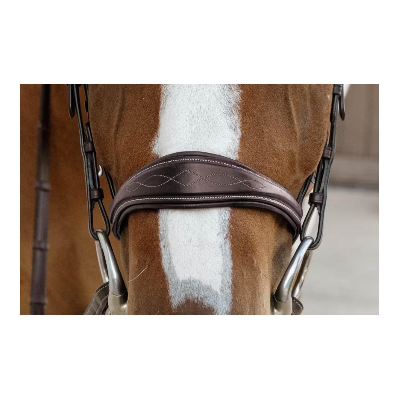 Dy'on Anatomic noseband without flash D Collection