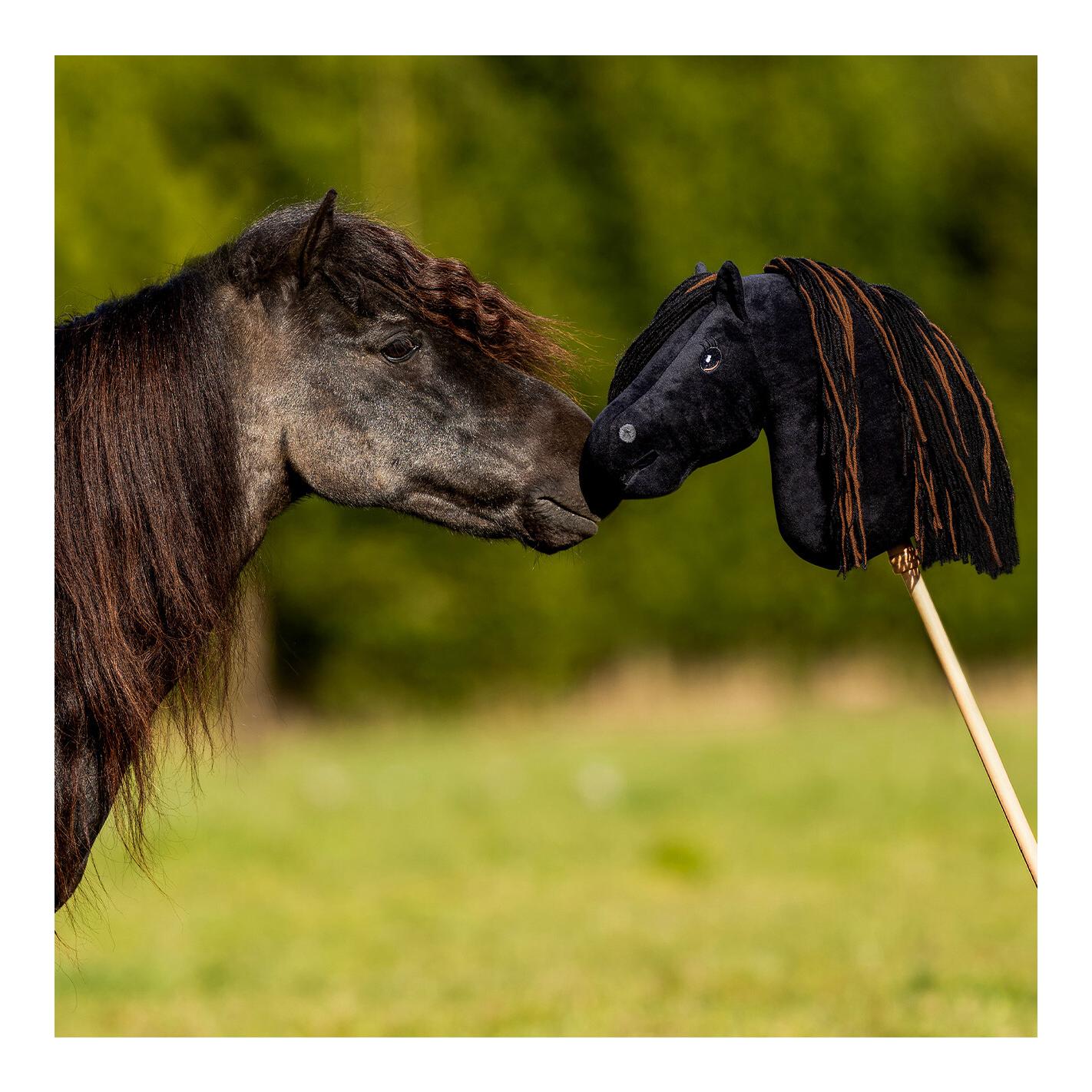 QHP Nalanta Hobby horse Macho