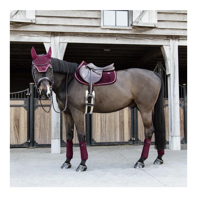 Kentucky Schabracke Velvet Samt - bordeaux