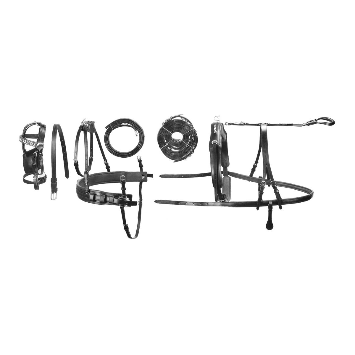 JM Ensemble double harnais en cuir - pour grands chevaux