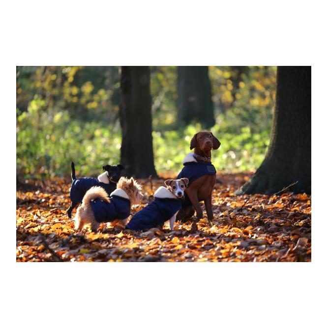 Hundemantel Original - marine