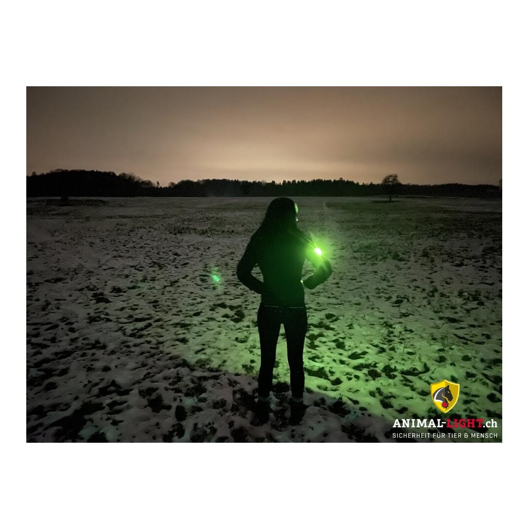 Animal Light Leuchtgamaschen und Armbinde von Animal Light im Set