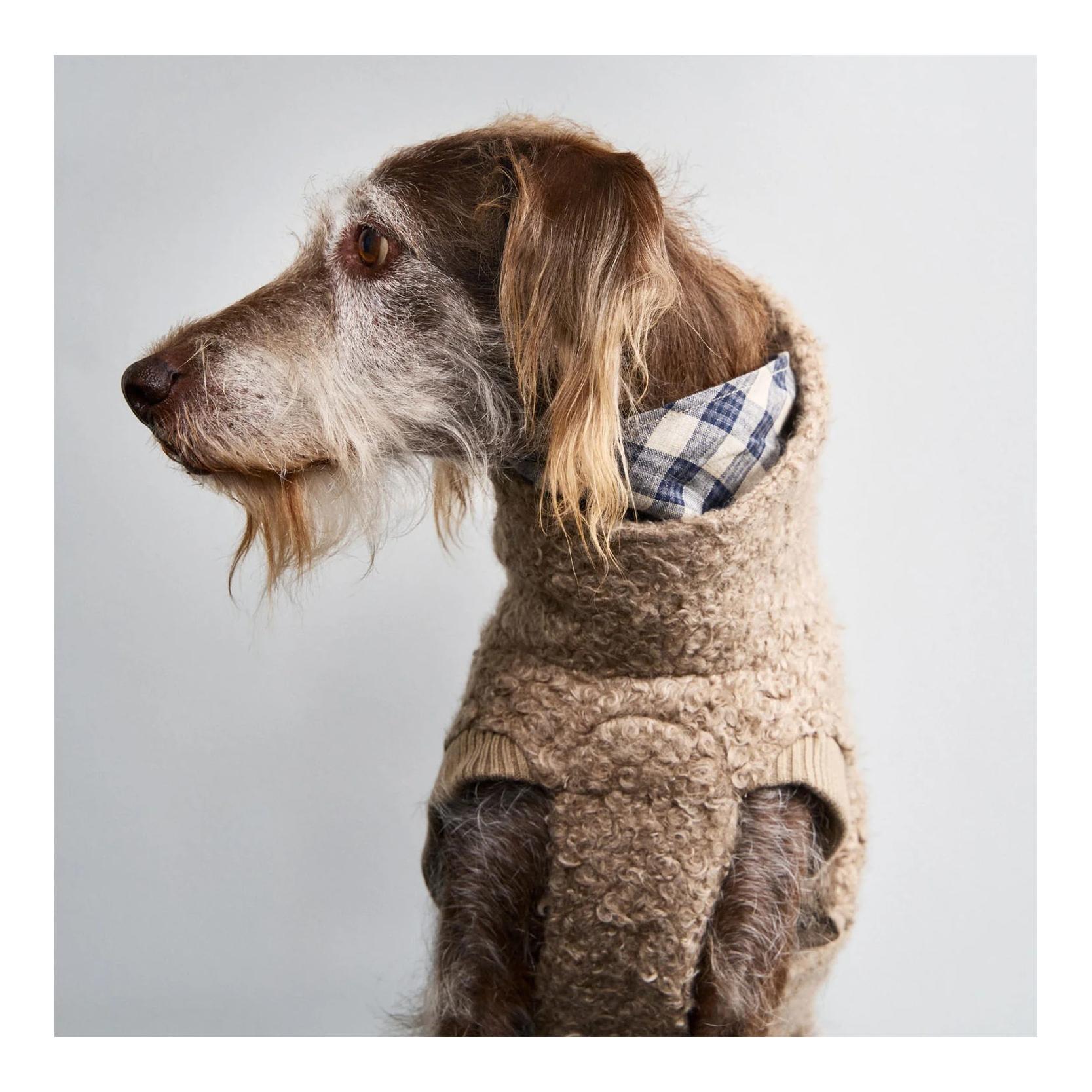 Cloud 7 Pull pour chien Gotland