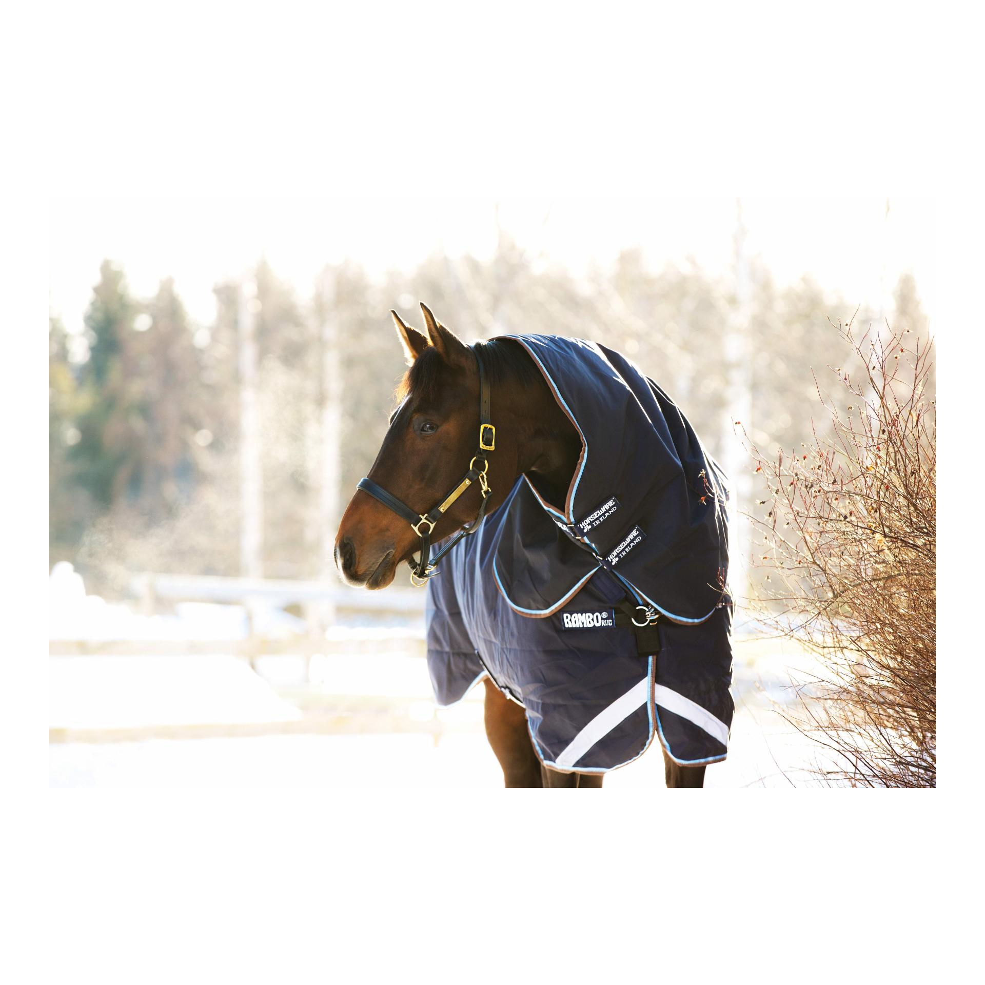 Horseware Weidedecke Rambo Duo Turnout (100g Outer mit 300g Liner)