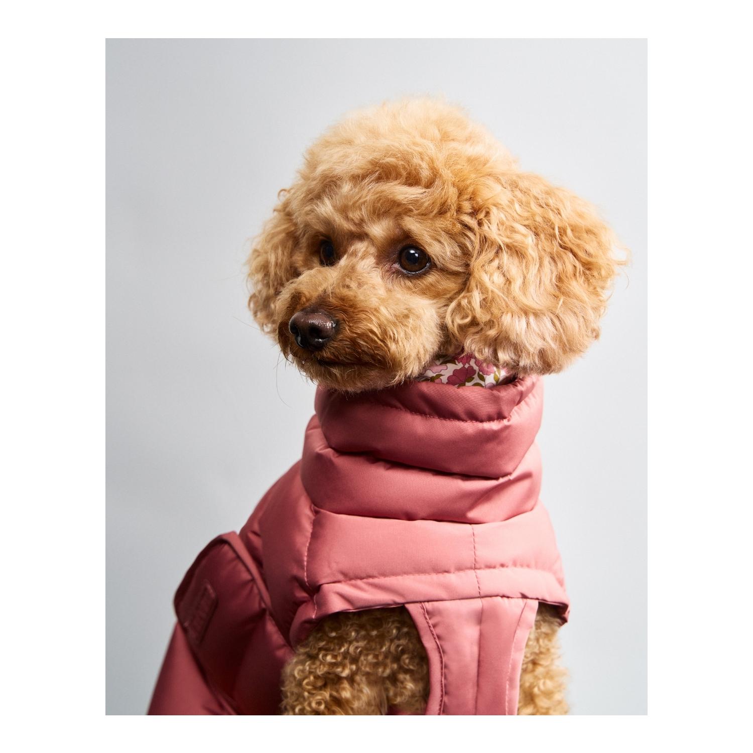 Cloud 7 Manteau d'hiver pour chien Alaska Regular