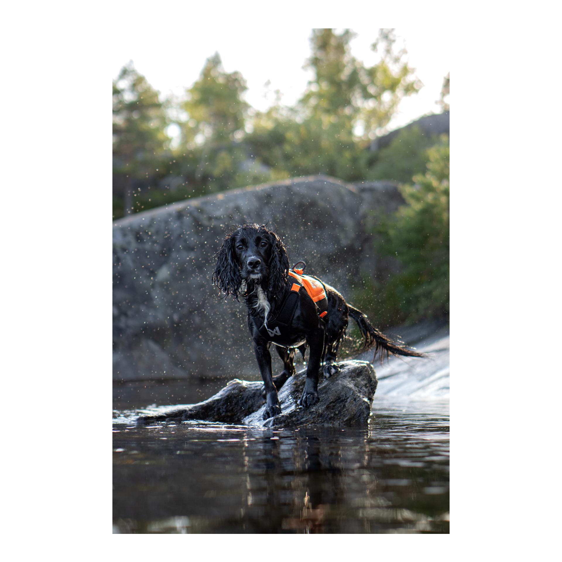 Non-stop Dogwear Protector neoprene vest