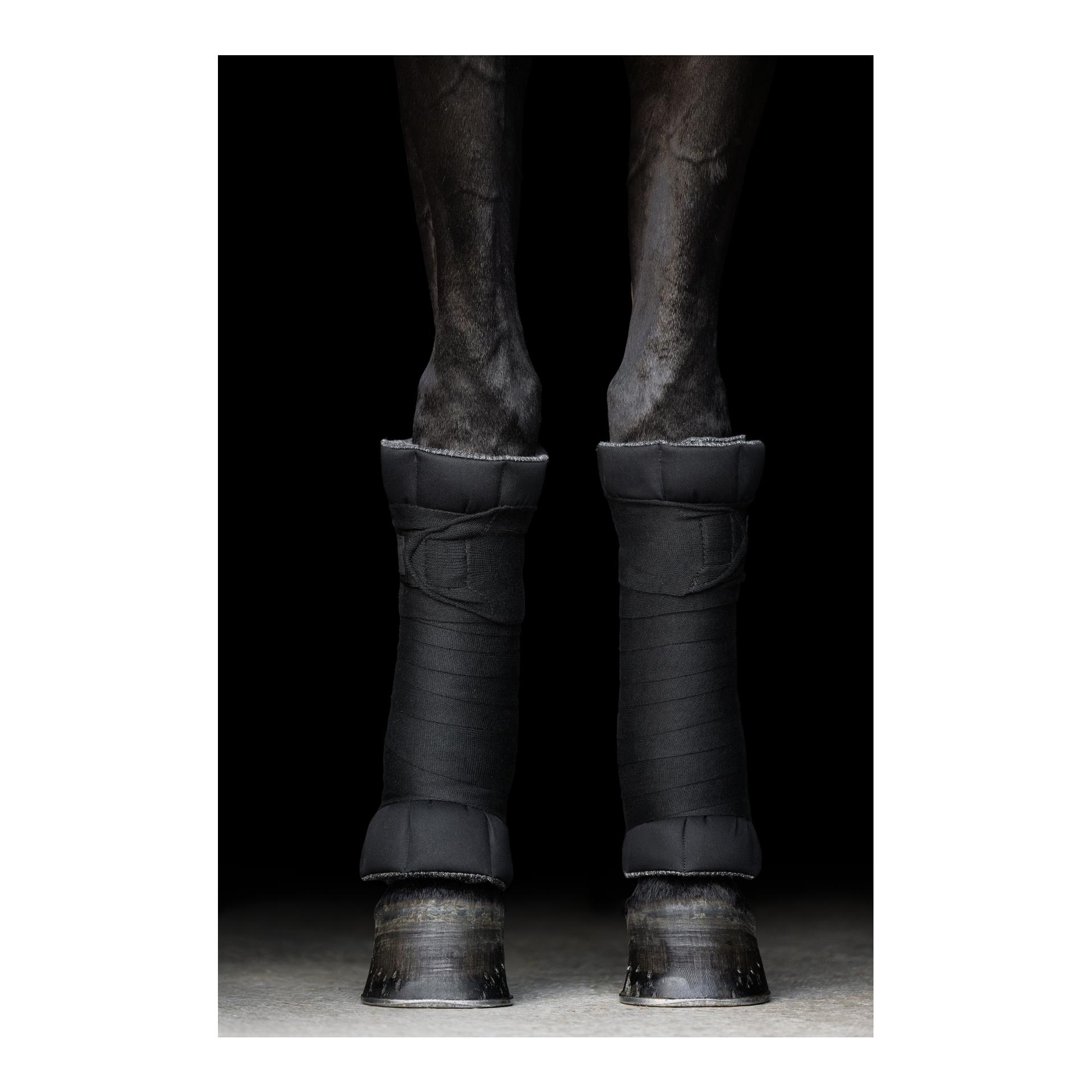 Incrediwear Equine Bandagierunterlagen Circulation (Paar)