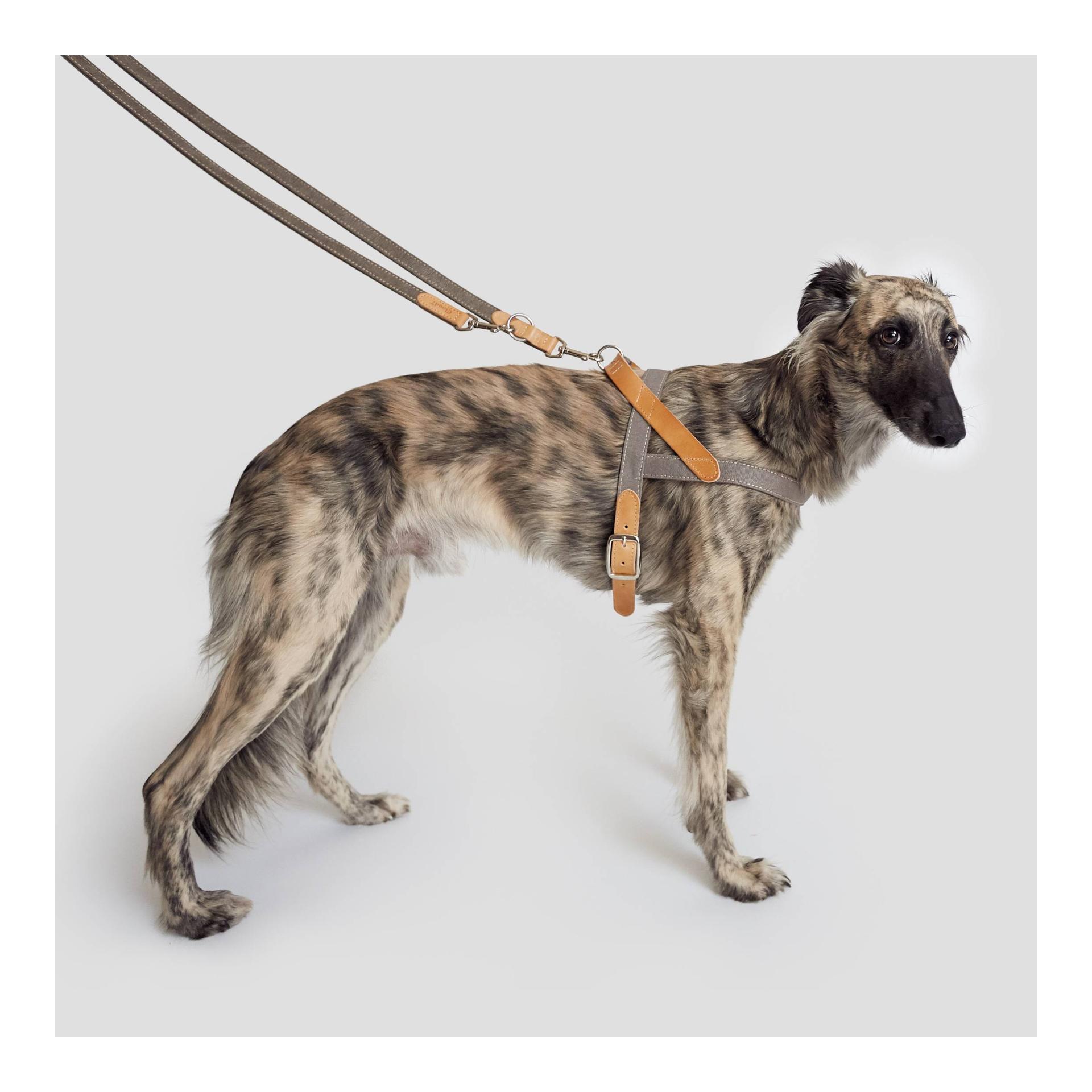 Cloud 7 Harnais pour chien Tivoli - gris