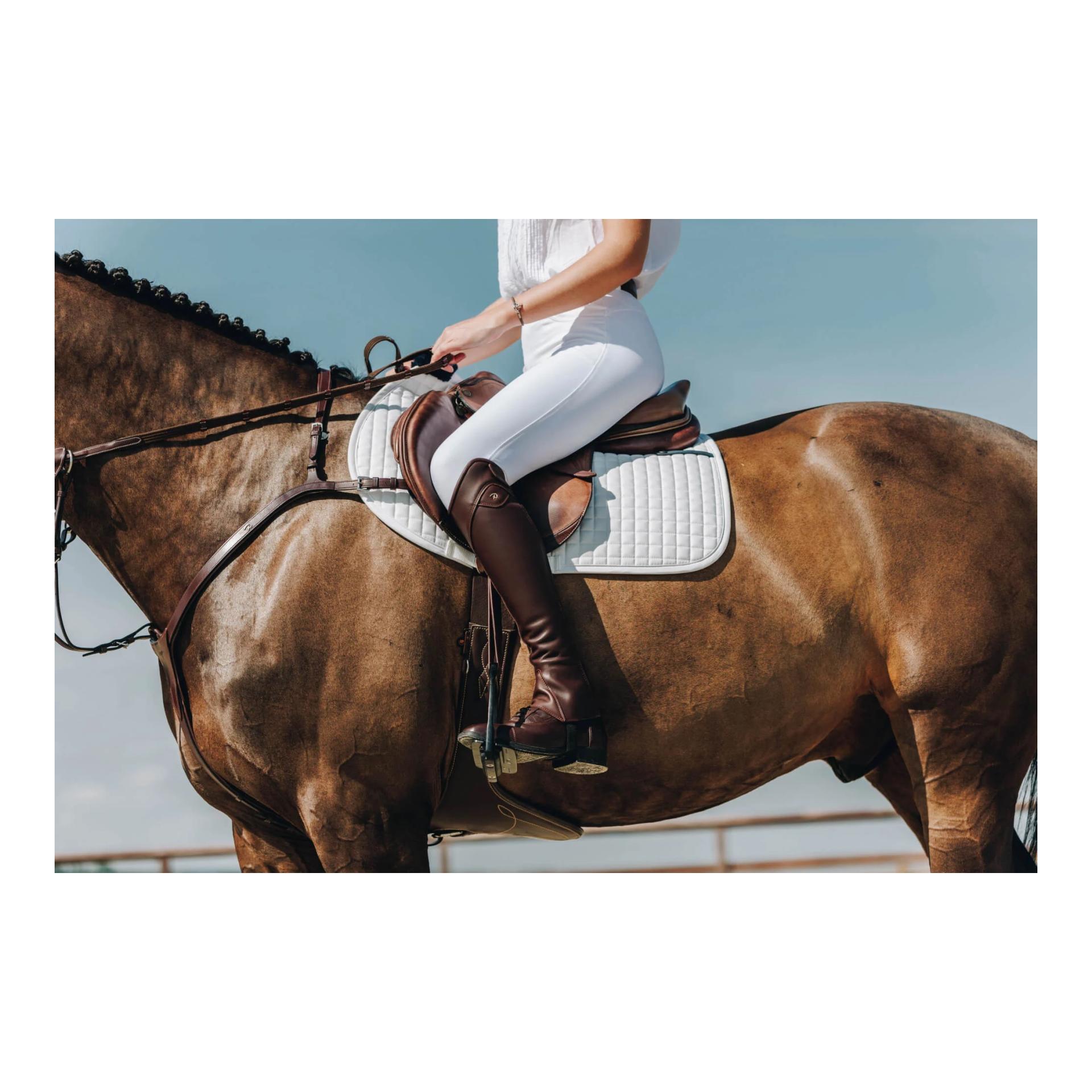 Dy'on Chaps Show Classic Standard