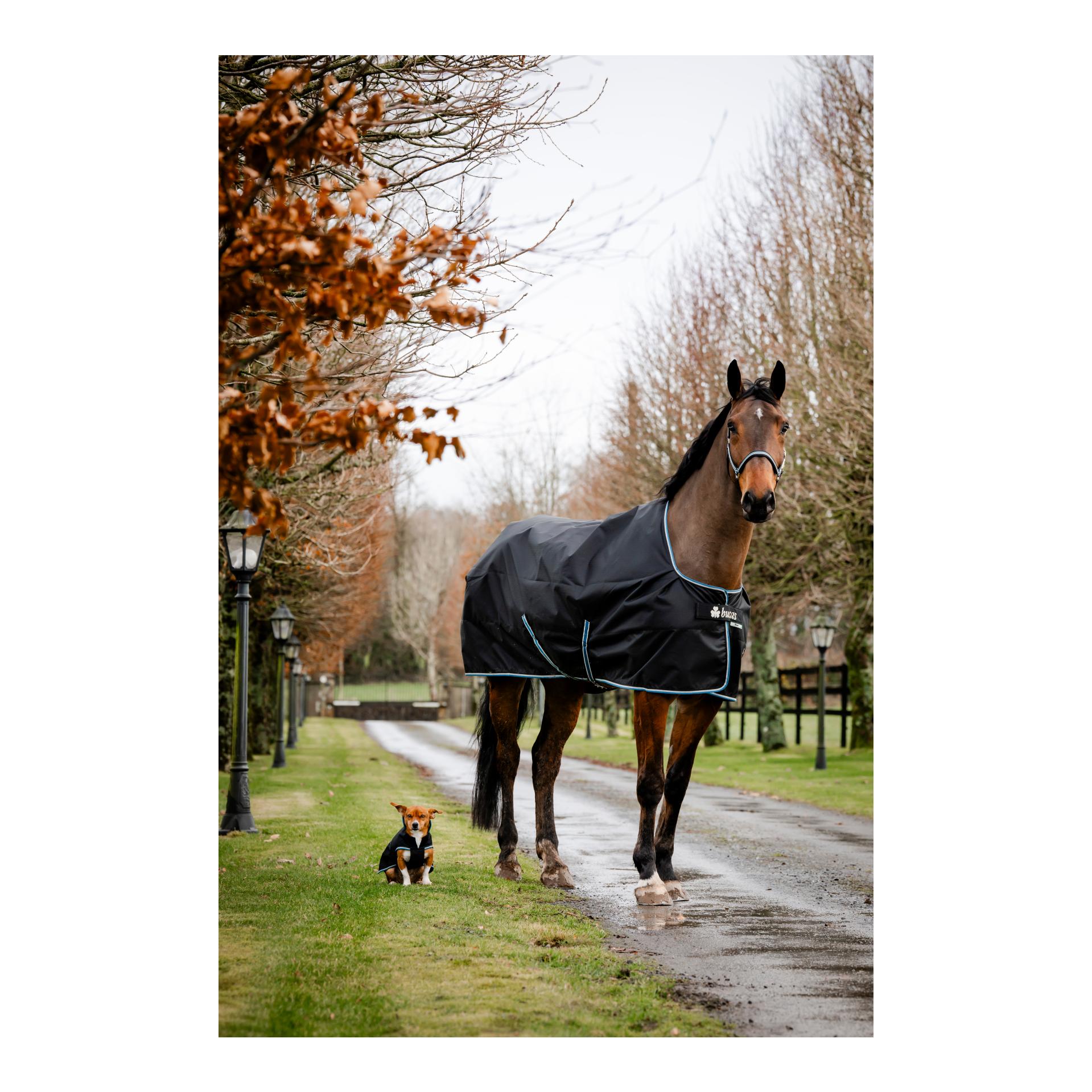 Bucas Couverture d'extérieur Anniversary Turnout 150g SD