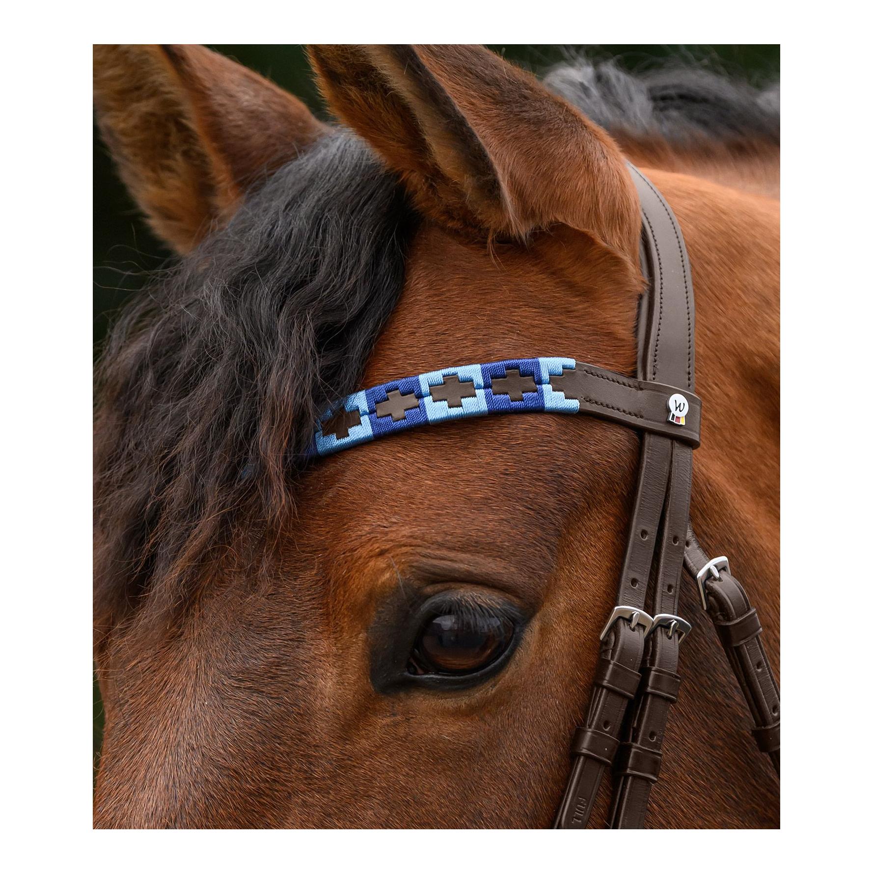 Waldhausen Stirnband Polo X-Line