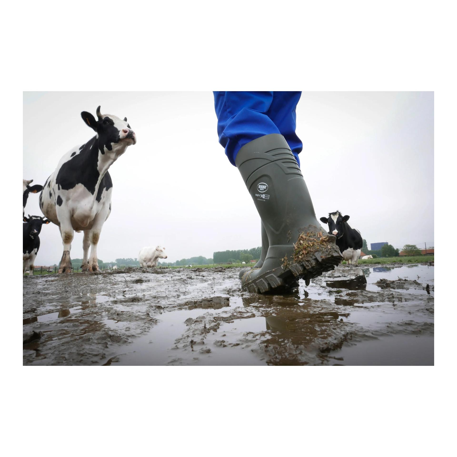 Bekina Sicherheitsstiefel S5 StepliteX Thermoprotec