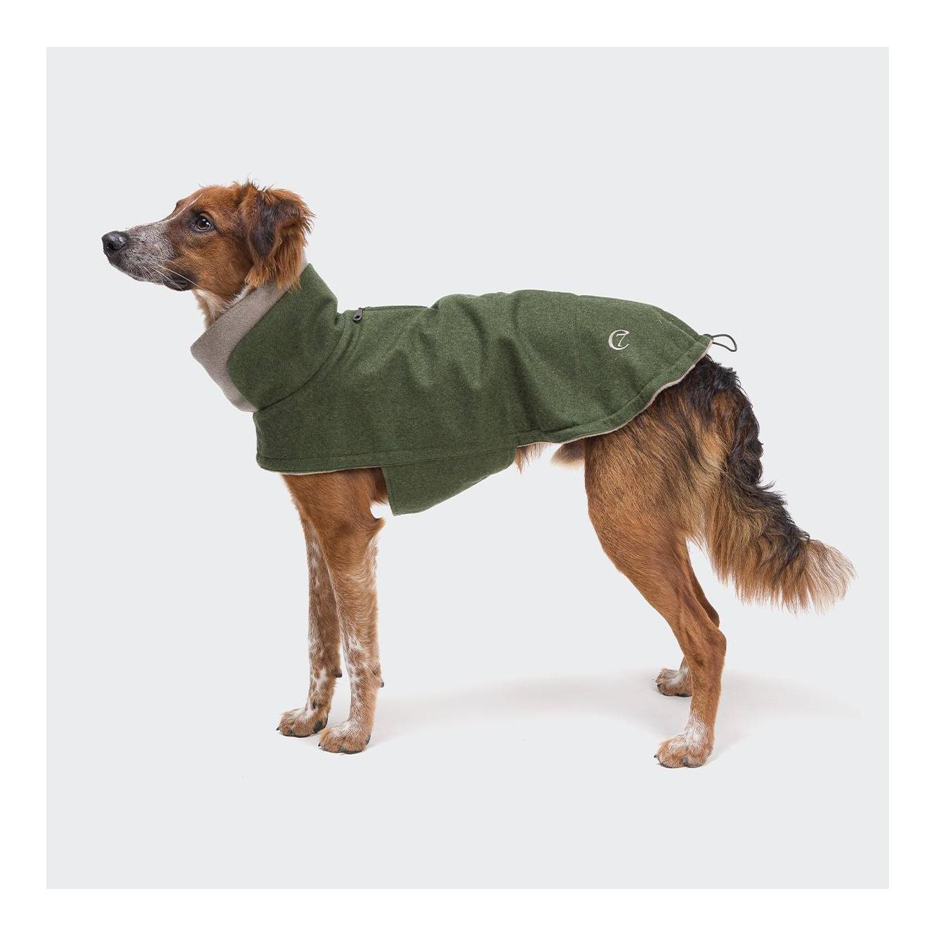 Cloud 7 Manteau pour chien Brooklyn - fern green