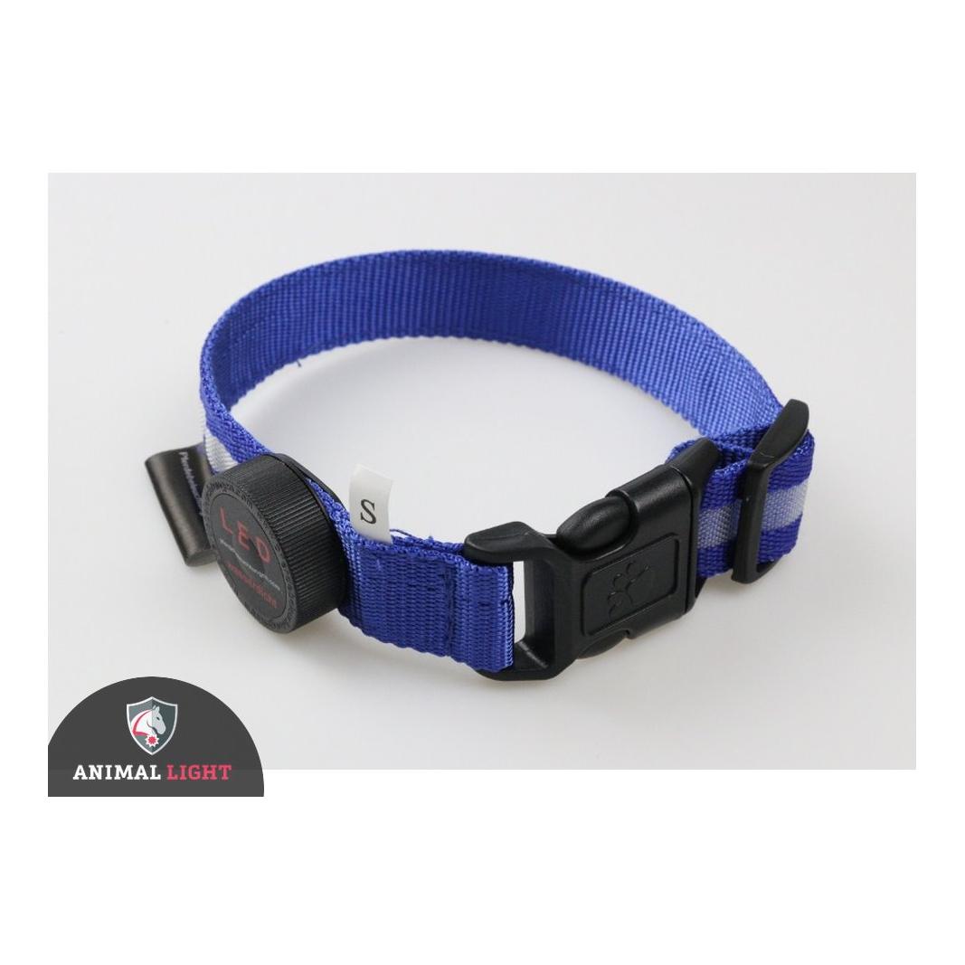 Animal Light Leucht - Hundehalsband "Cash" - blau