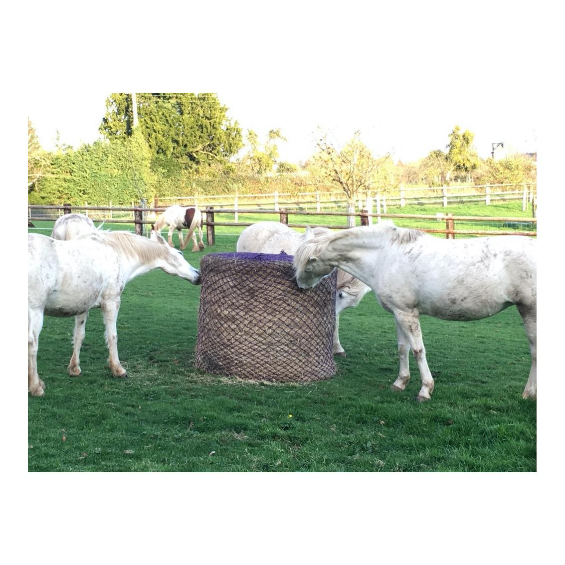 Equip Horse Filet à foin pour balles rondes - largeur de mailles 5 x 5 cm