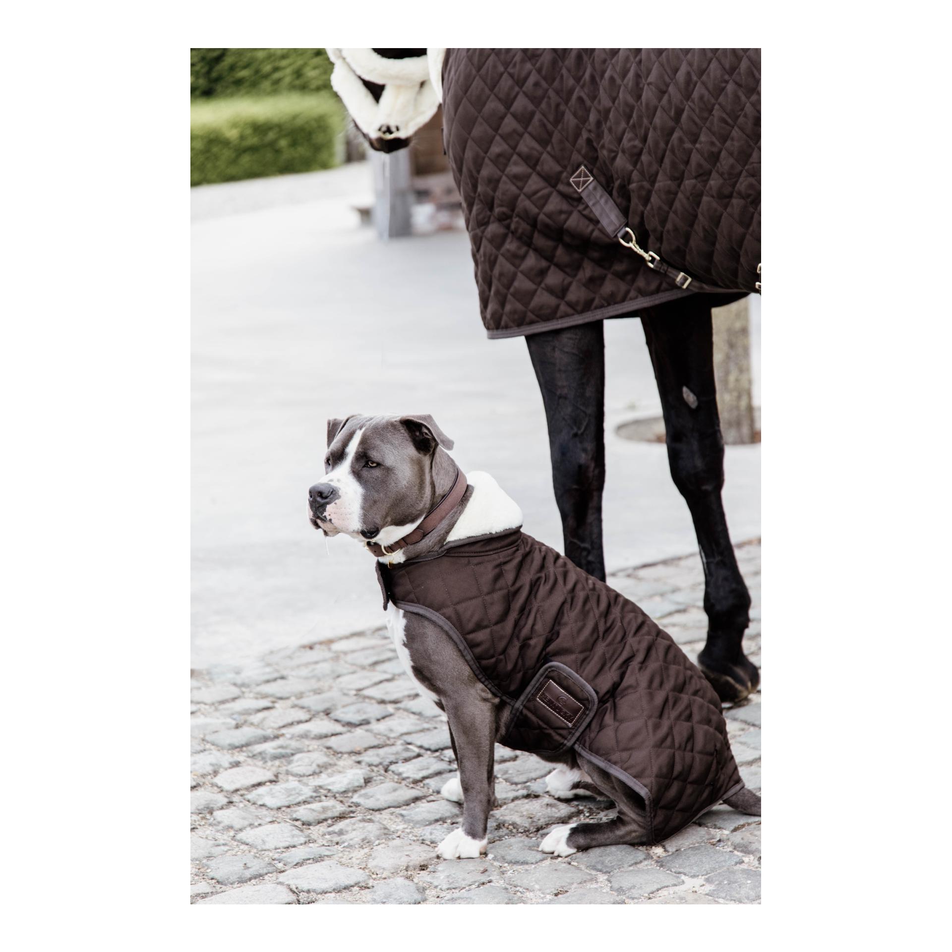 Kentucky Dogwear Manteau pour chien Original - brown
