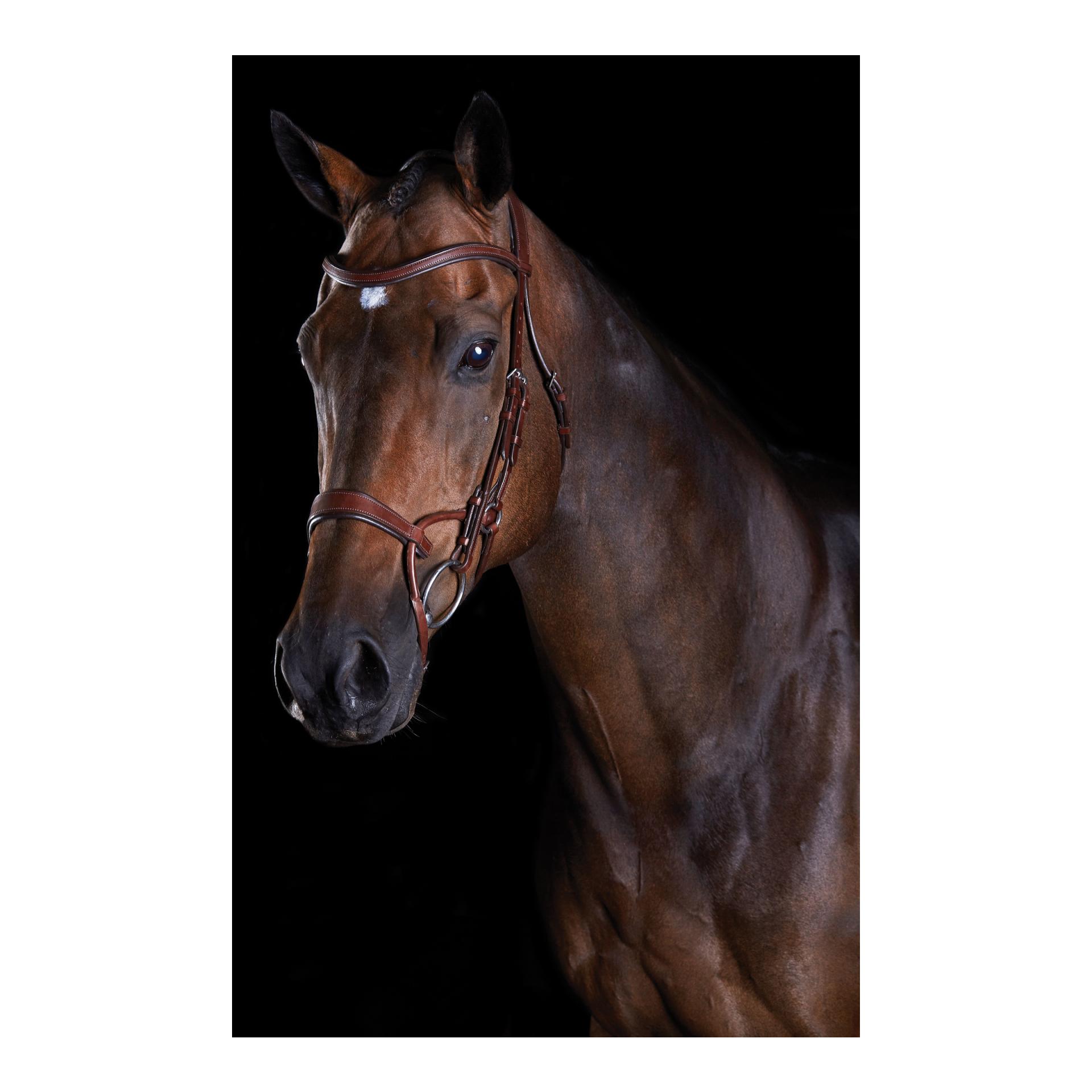 Bride Comfitec Training Bridle - marron