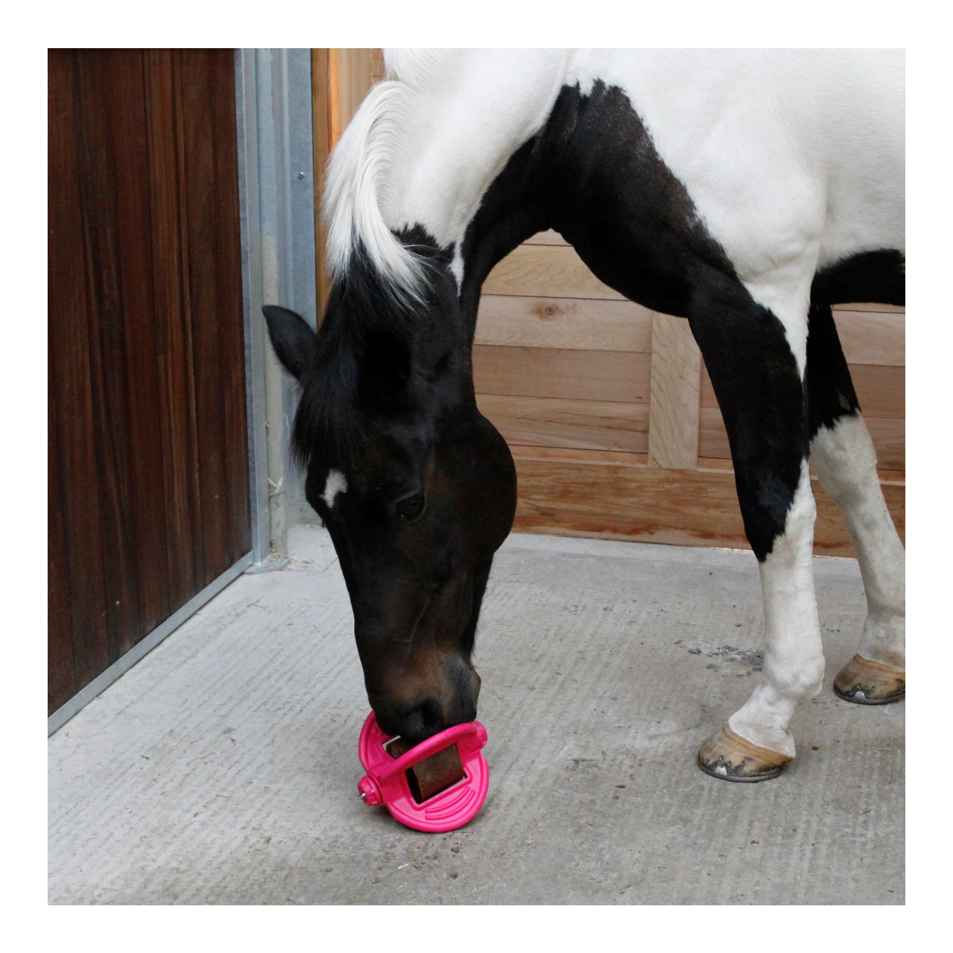 Bizzy Horse Bizzy Ball