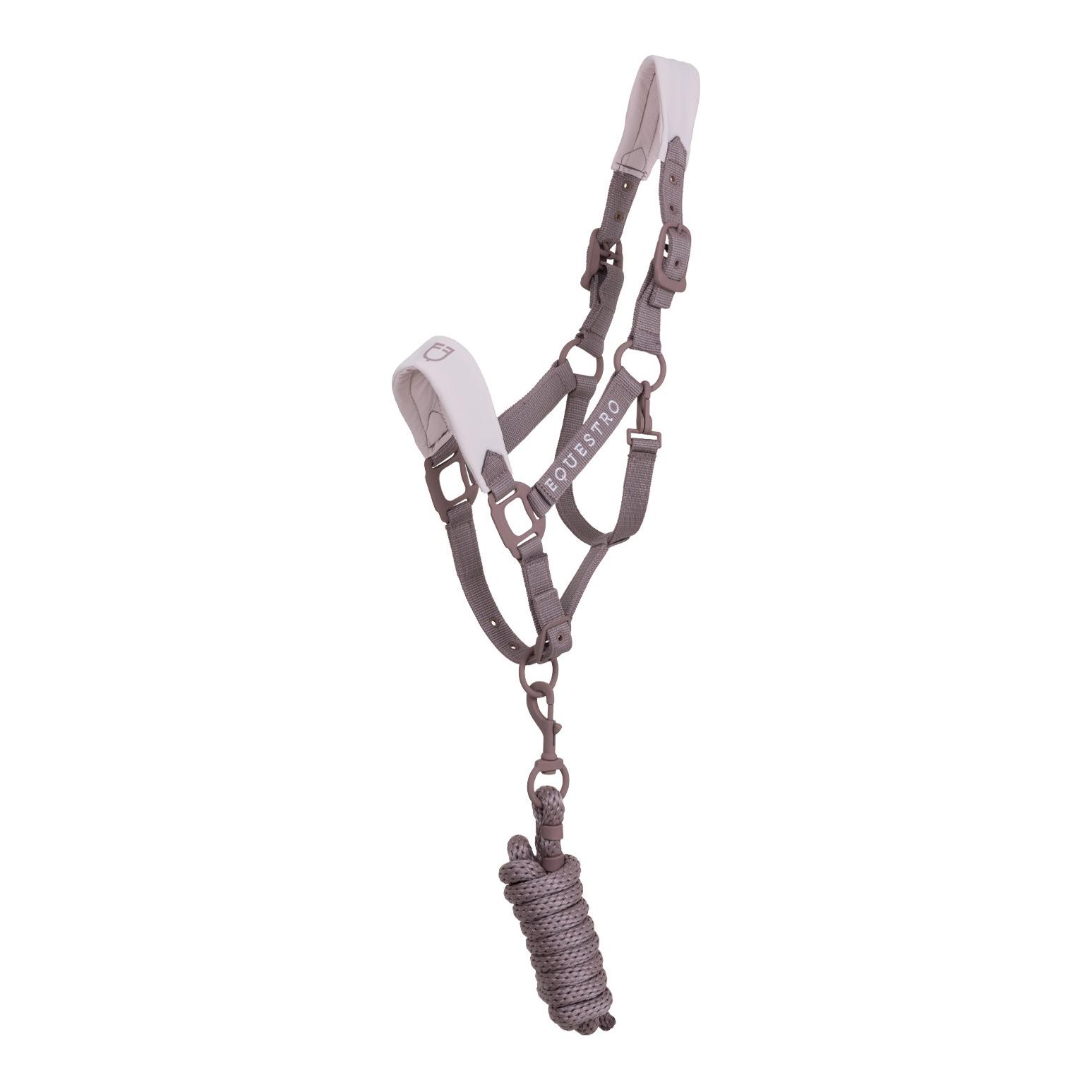 Equestro Licol avec boucles recouvertes de caoutchouc
