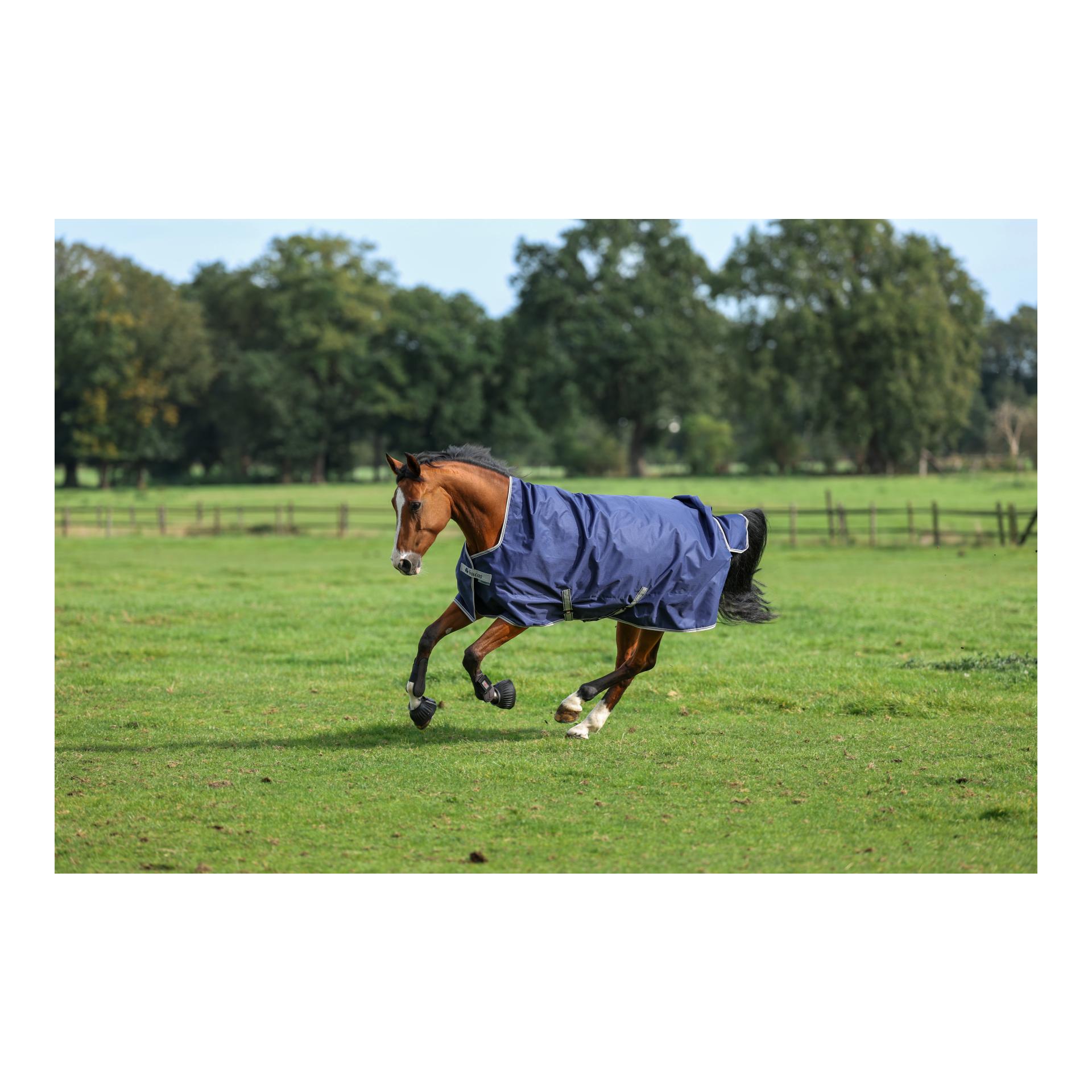 Bucas Couverture de pré Freedom Turnout High Neck Ligth - navy /silver