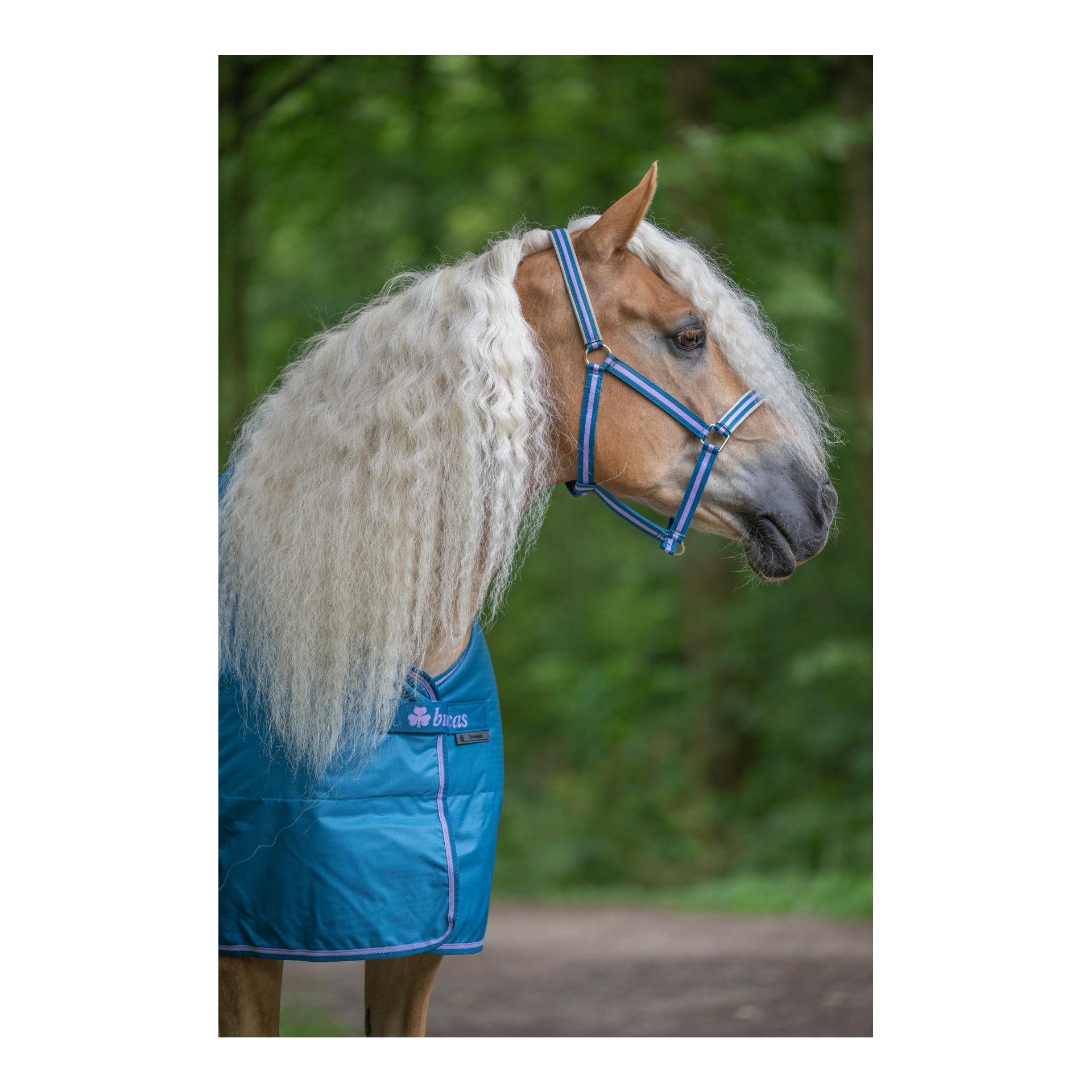 Bucas Couverture d'extérieur Freedom Turnout 300g